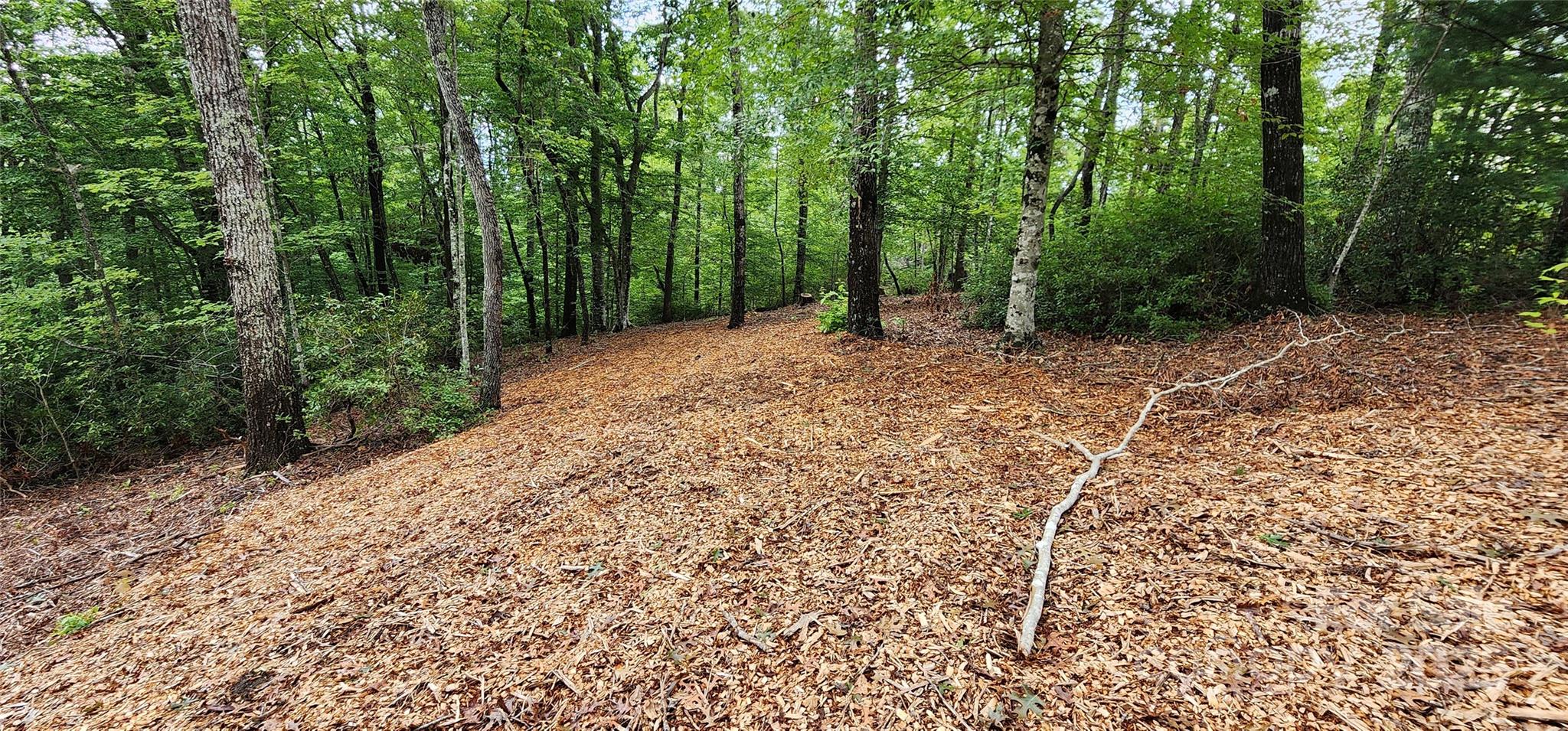 Mountain Laurel Estates - Land