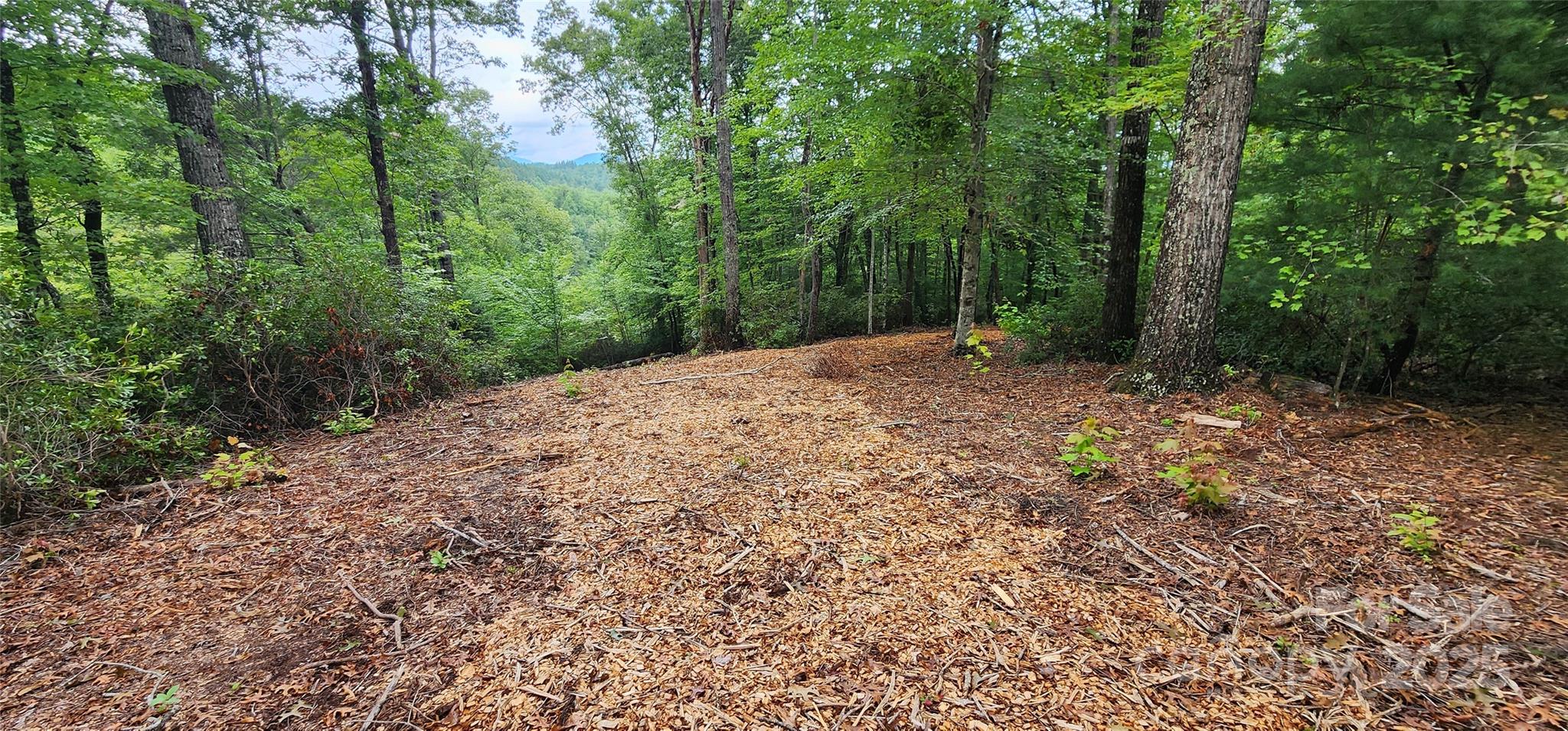Mountain Laurel Estates - Land