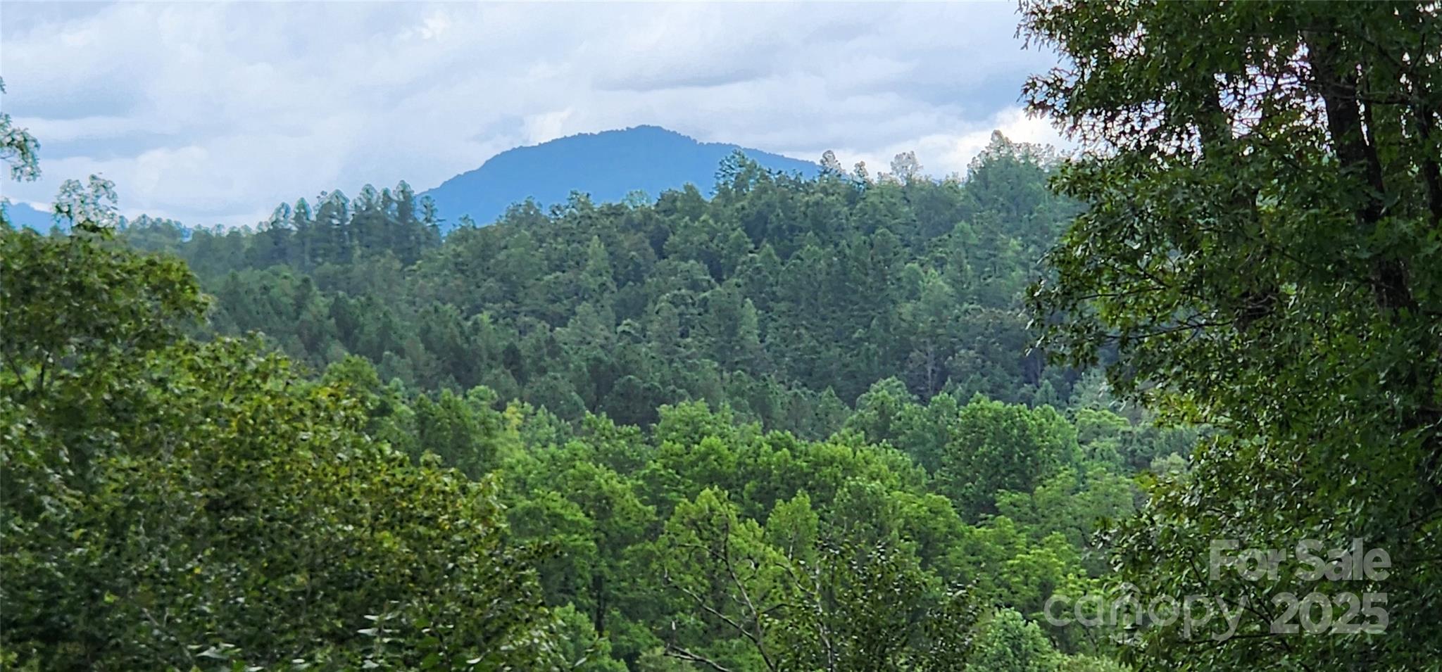 Mountain Laurel Estates - Land