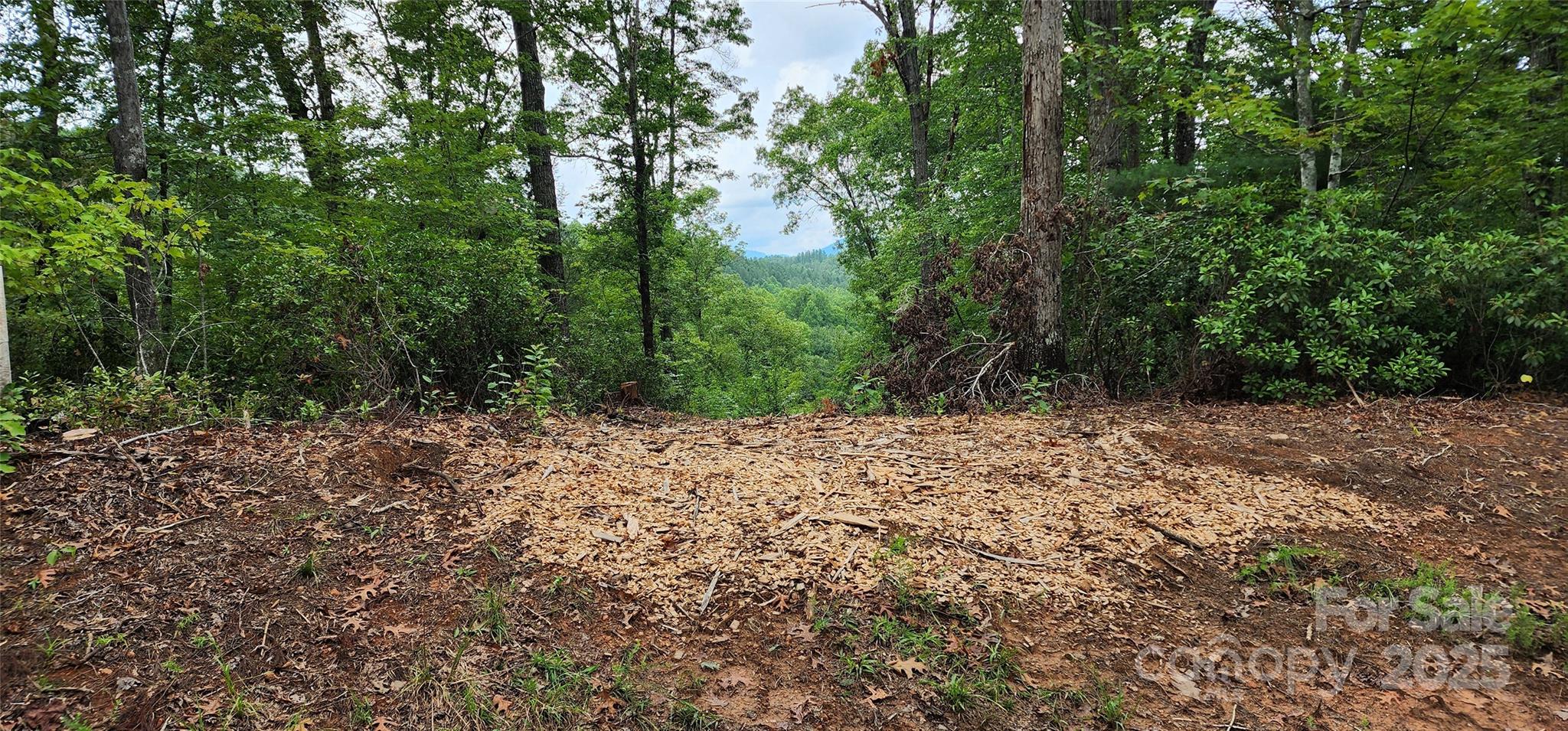 Mountain Laurel Estates - Land