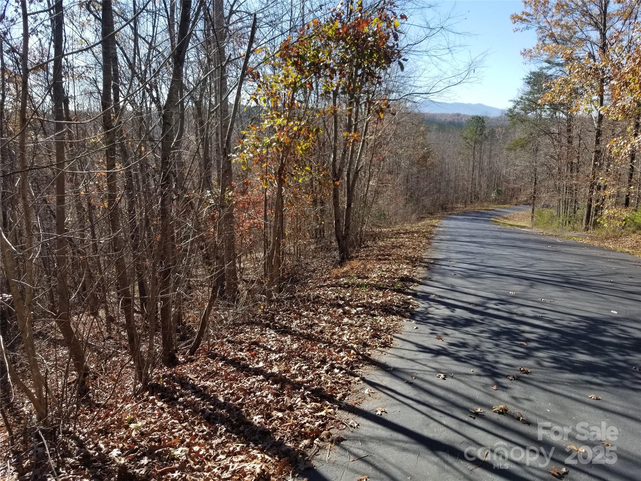 Mountain Laurel Estates - Land