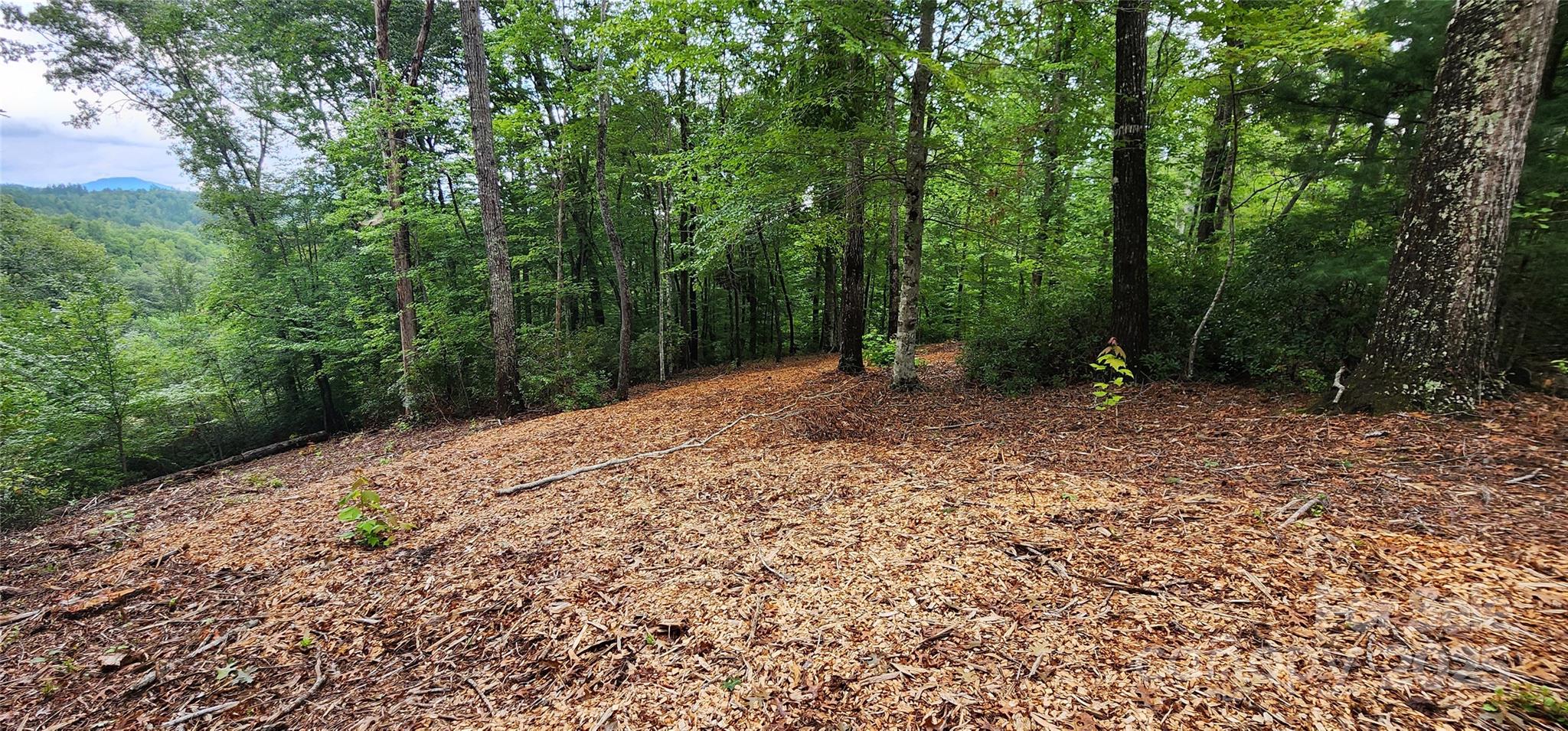 Mountain Laurel Estates - Land