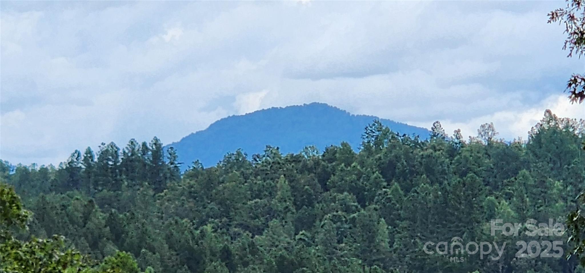 Mountain Laurel Estates - Land