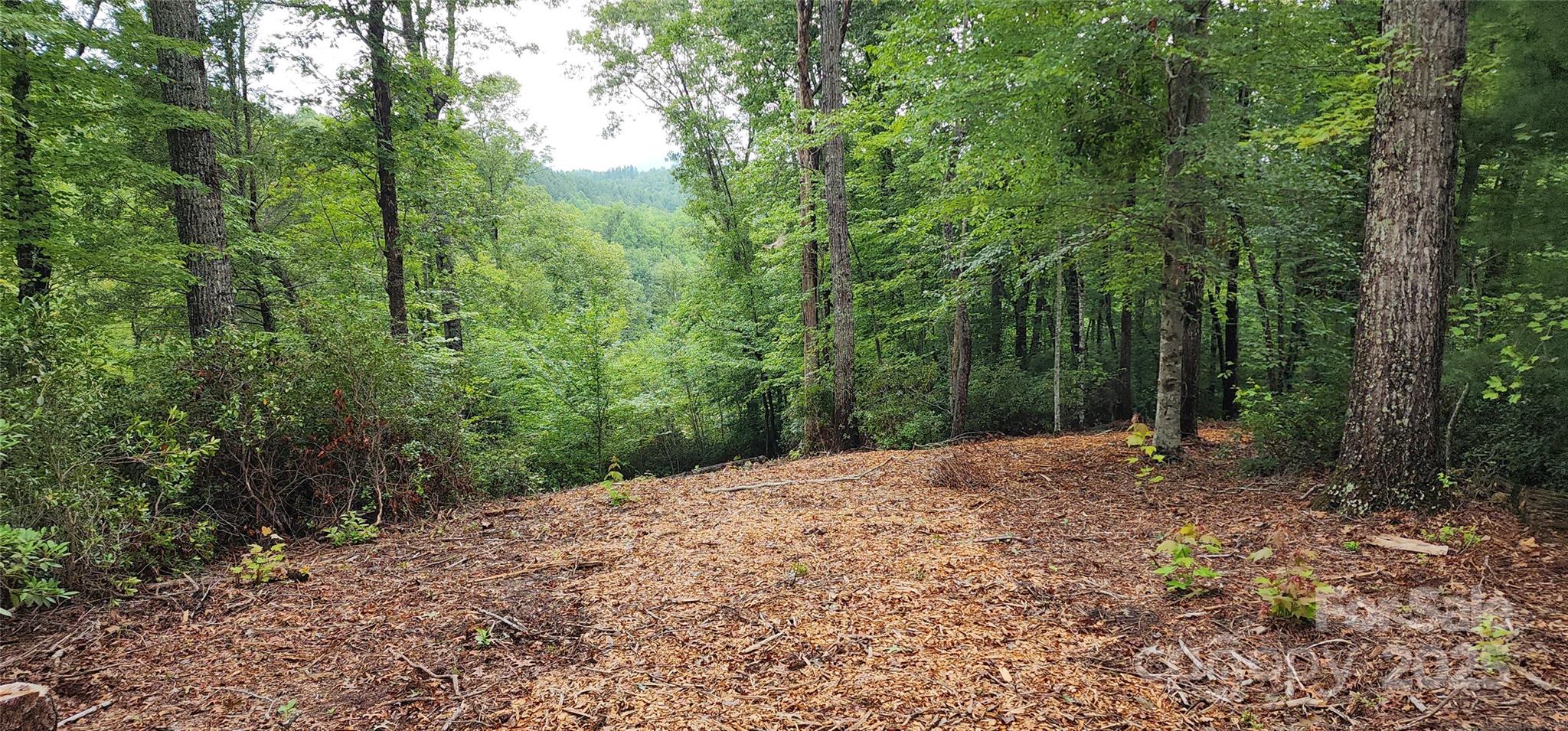 Mountain Laurel Estates - Land