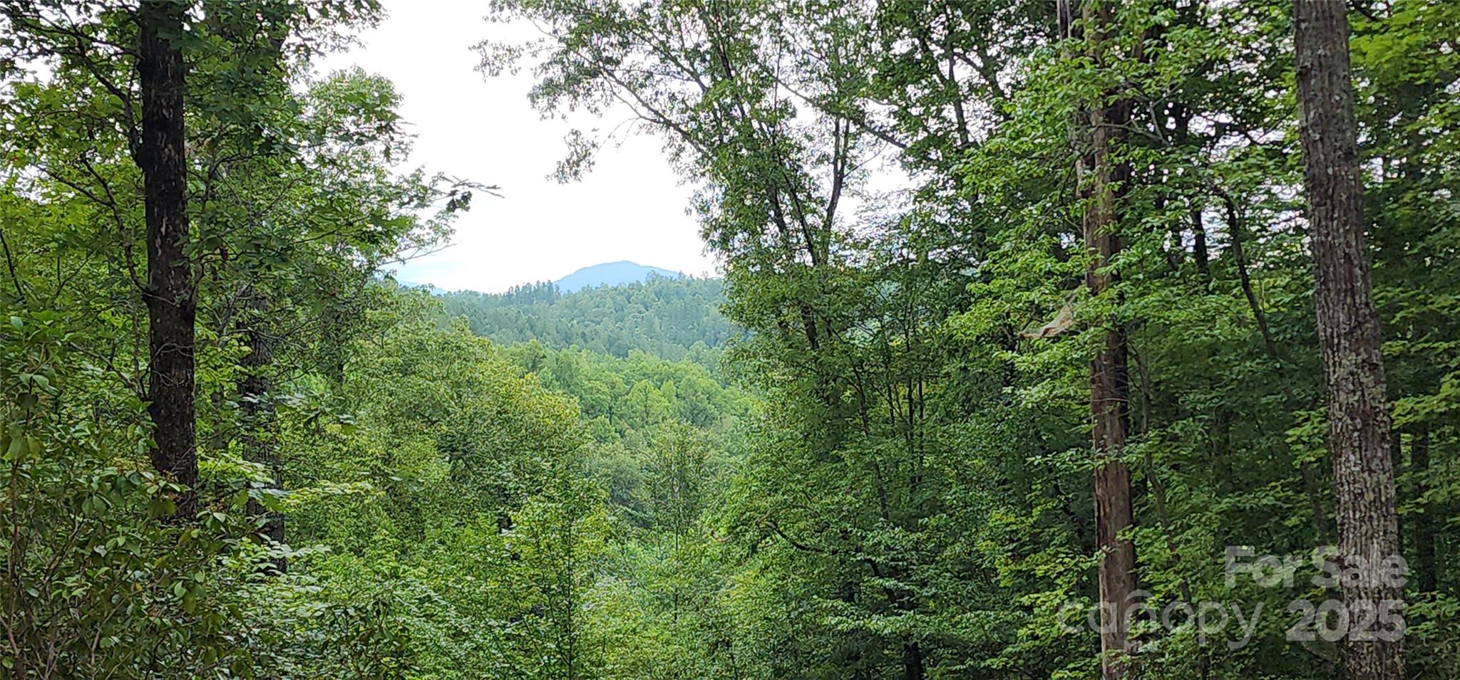 Mountain Laurel Estates - Land