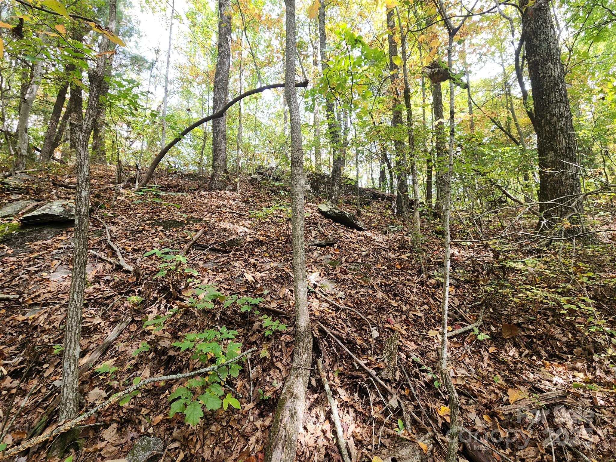 Ann Mountain Estates - Land