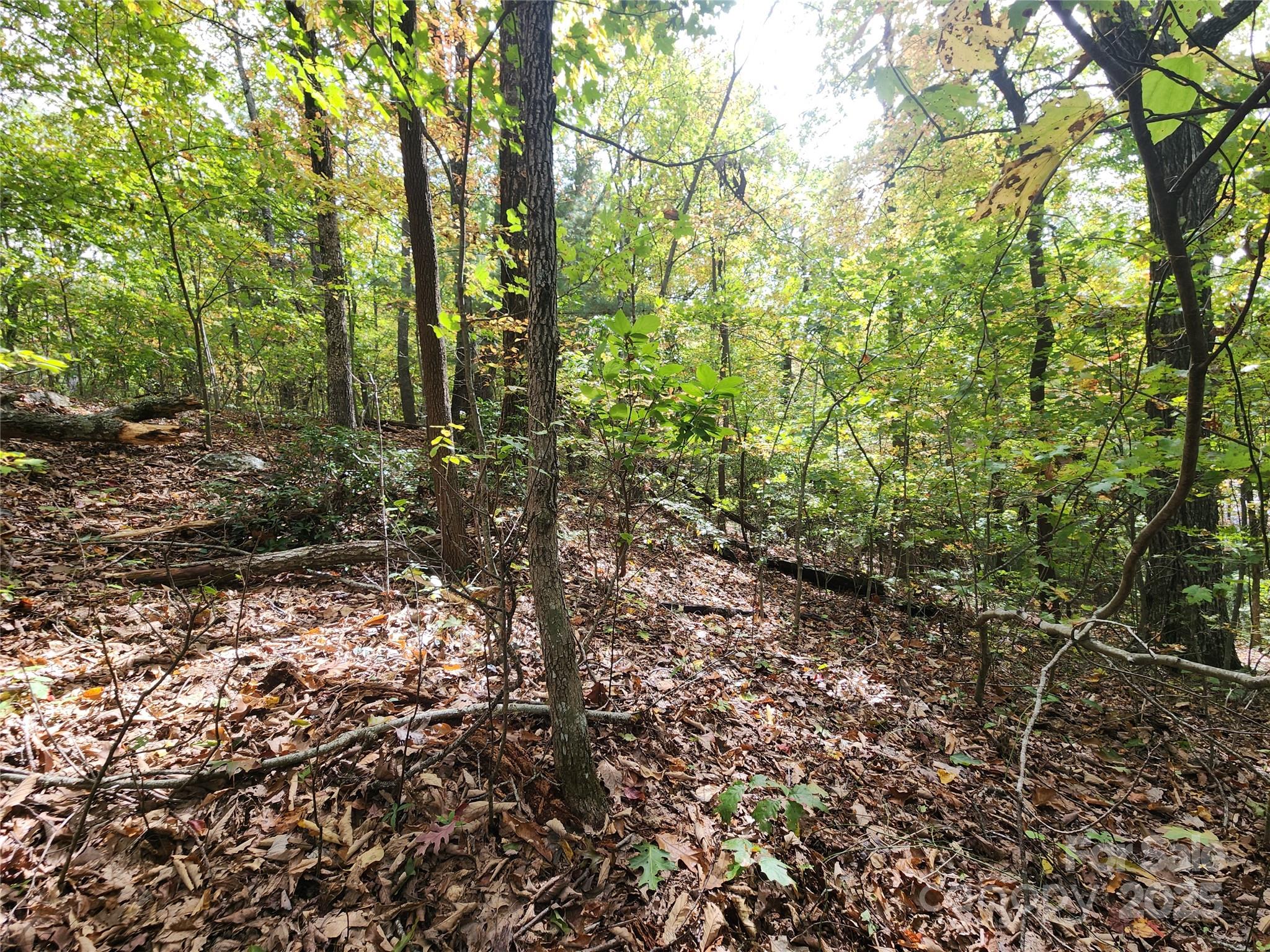 Ann Mountain Estates - Land