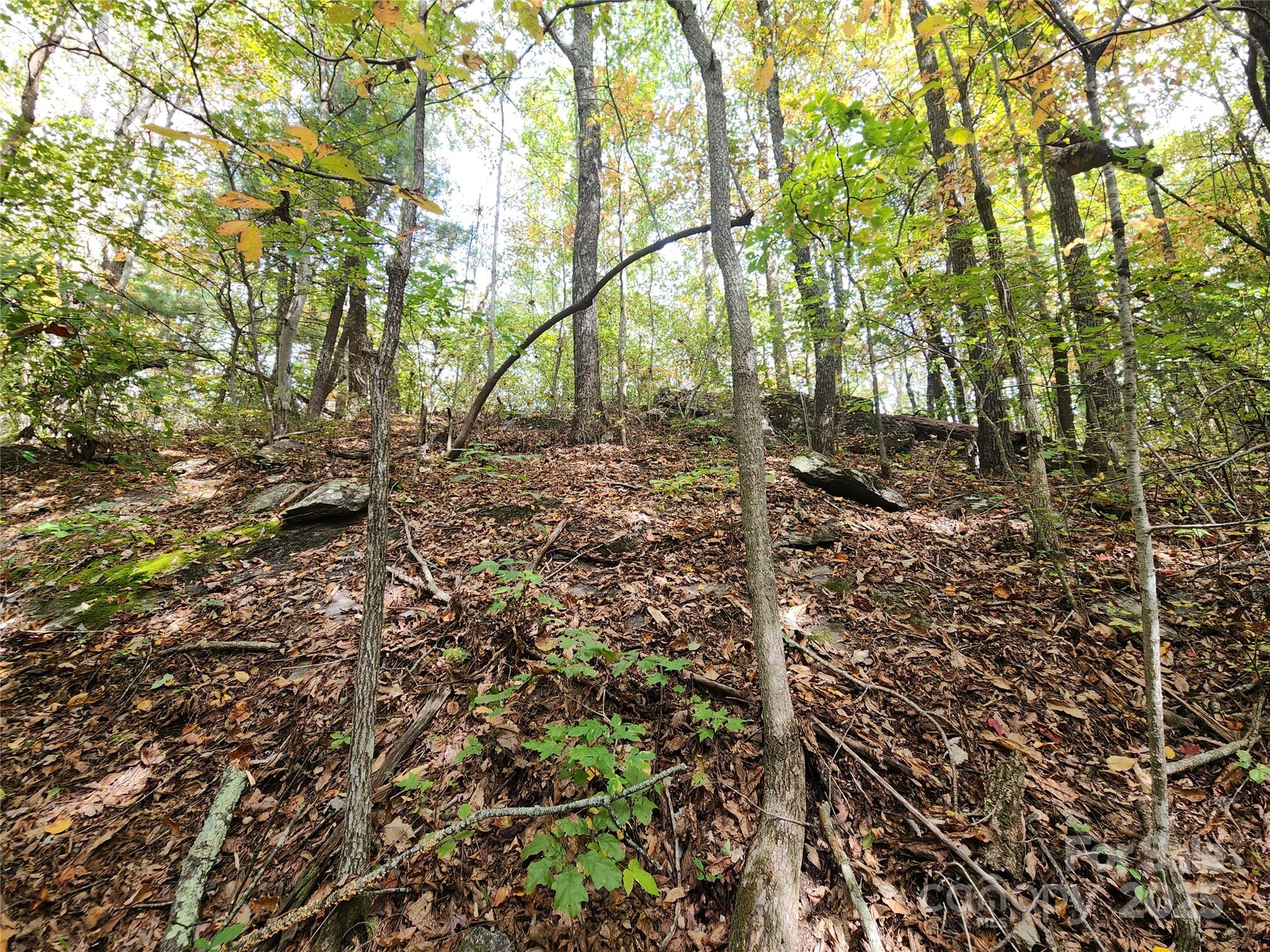 Ann Mountain Estates - Land