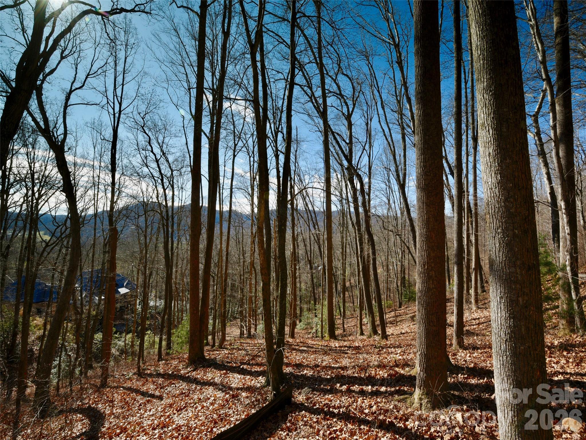 The Cliffs at Walnut Cove - Residential
