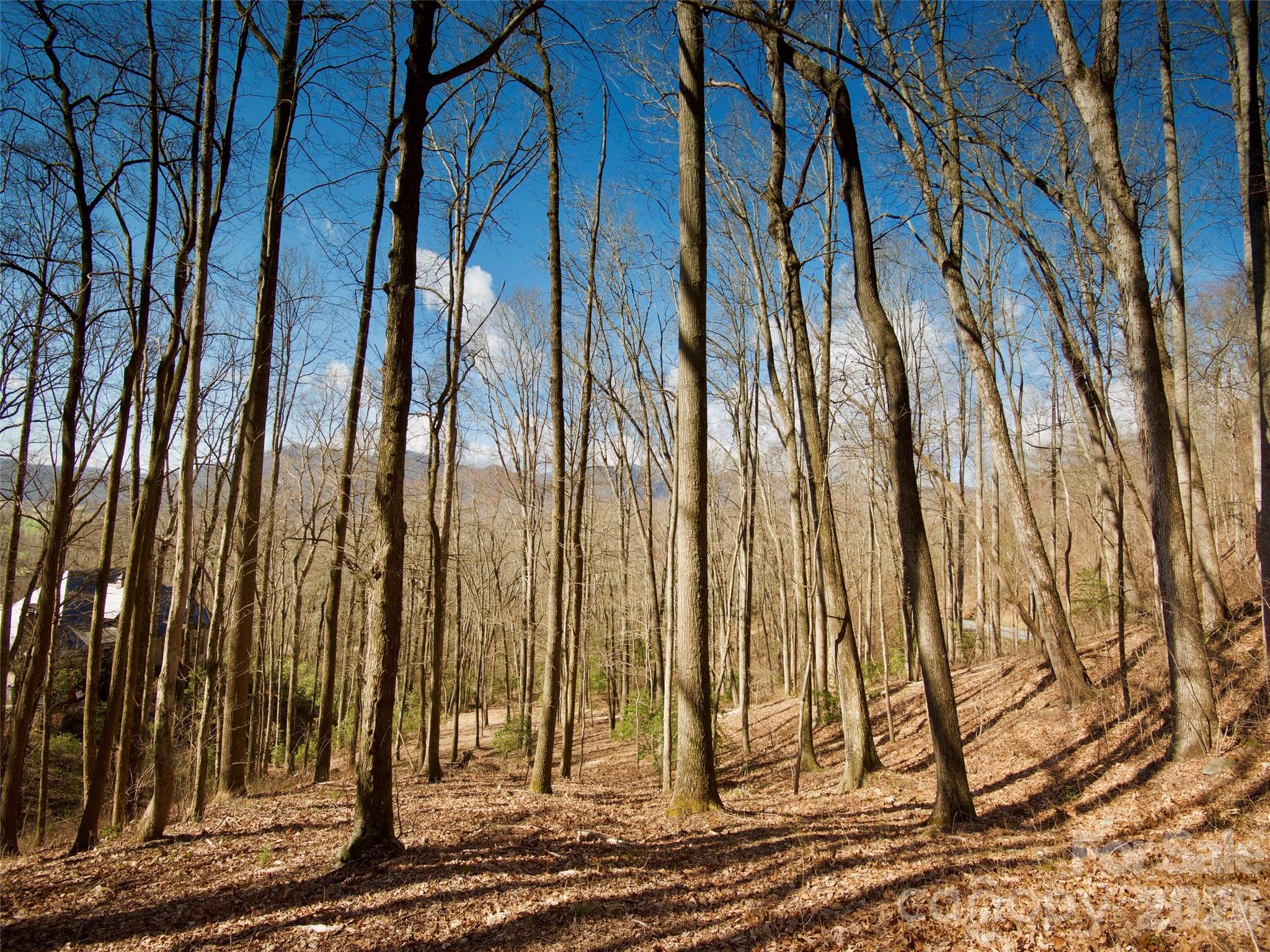 The Cliffs at Walnut Cove - Residential