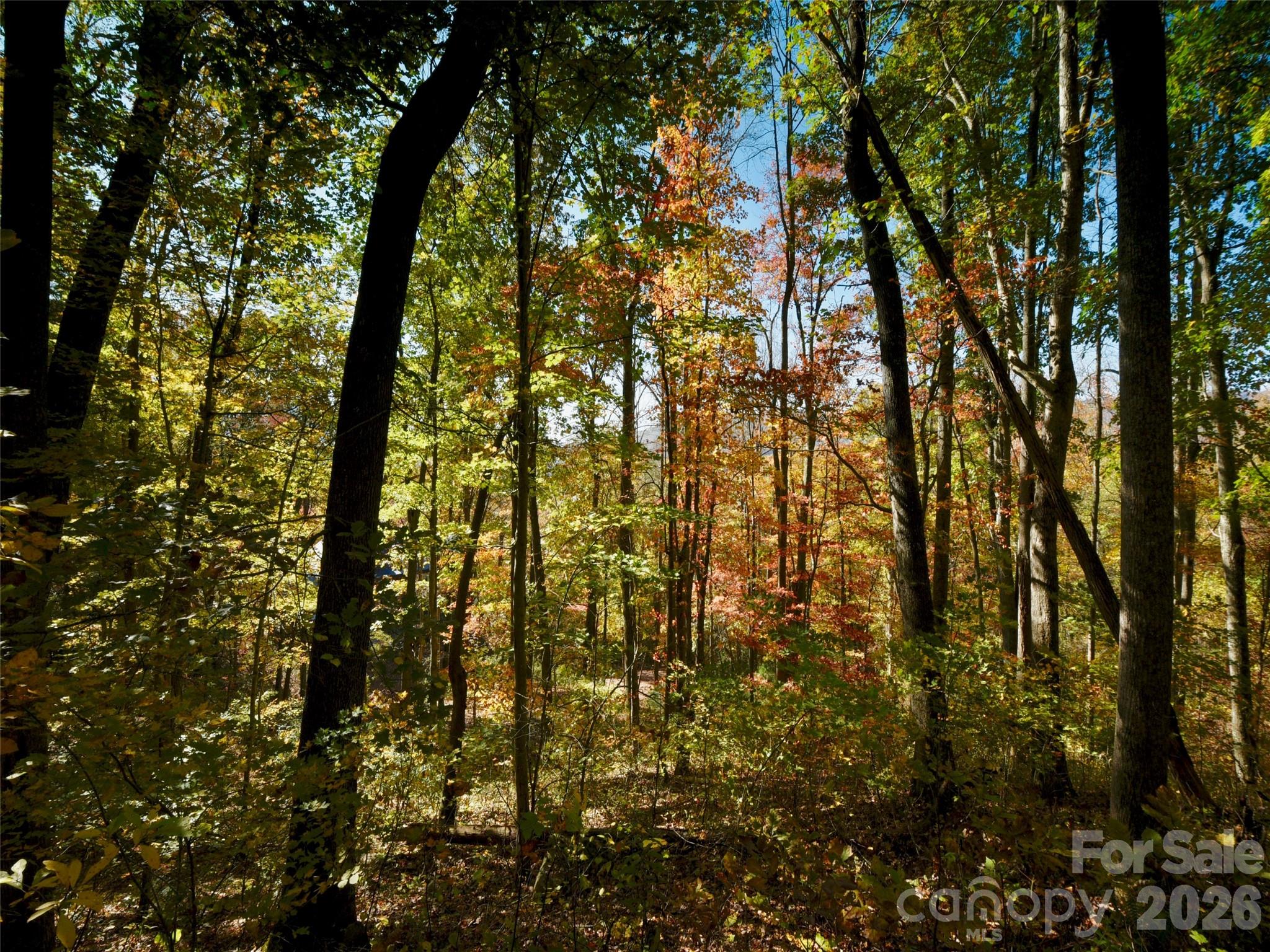 The Cliffs at Walnut Cove - Residential