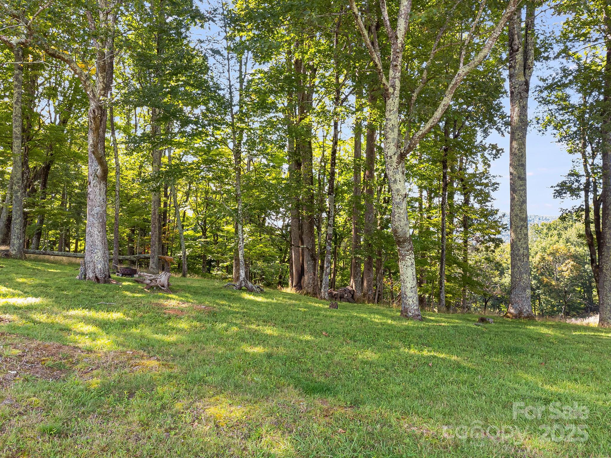 Poplar Forest - Land