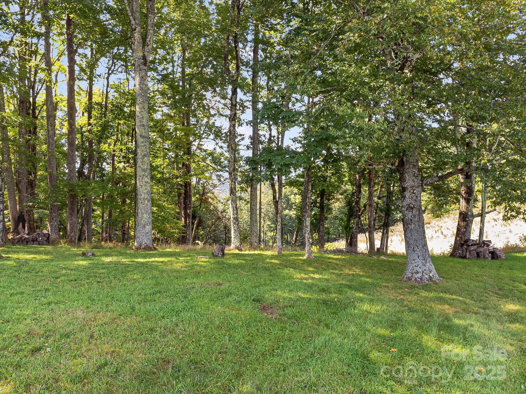 Poplar Forest - Land