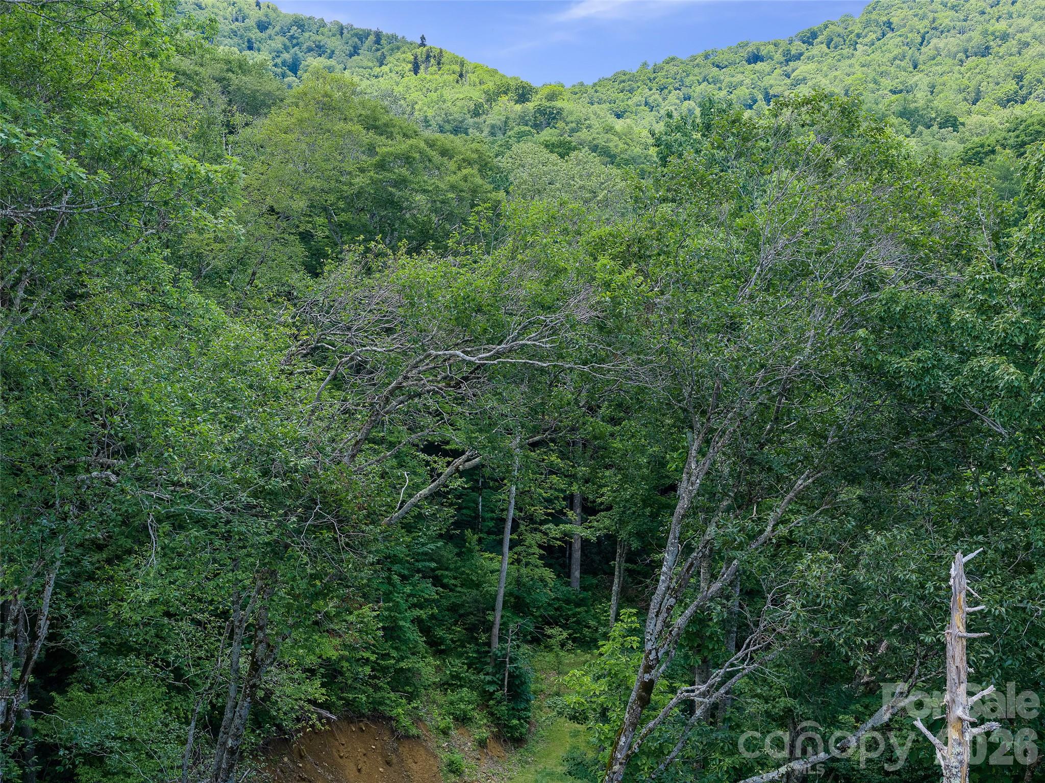 Cattail Creek - Land