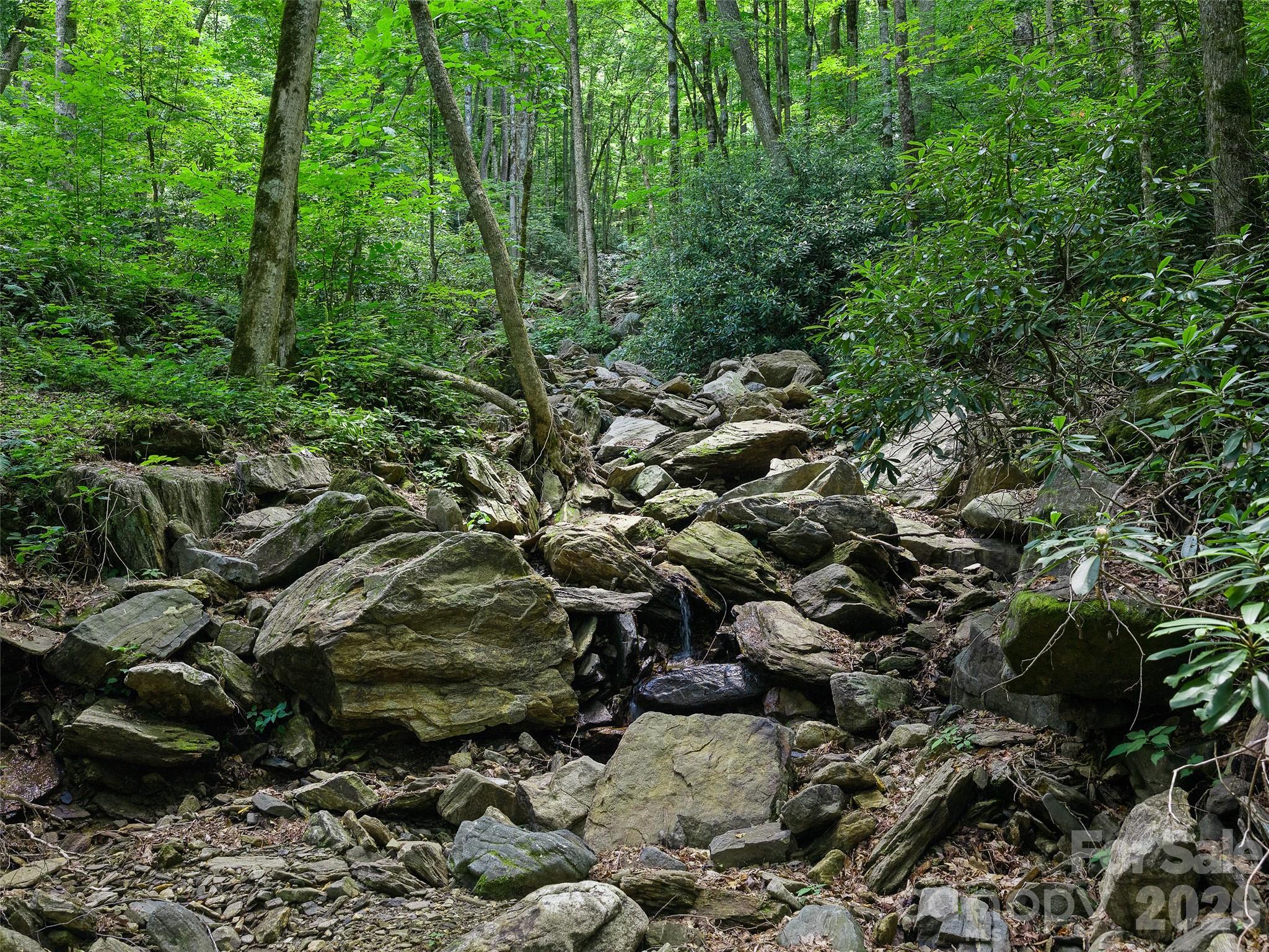 Cattail Creek - Land