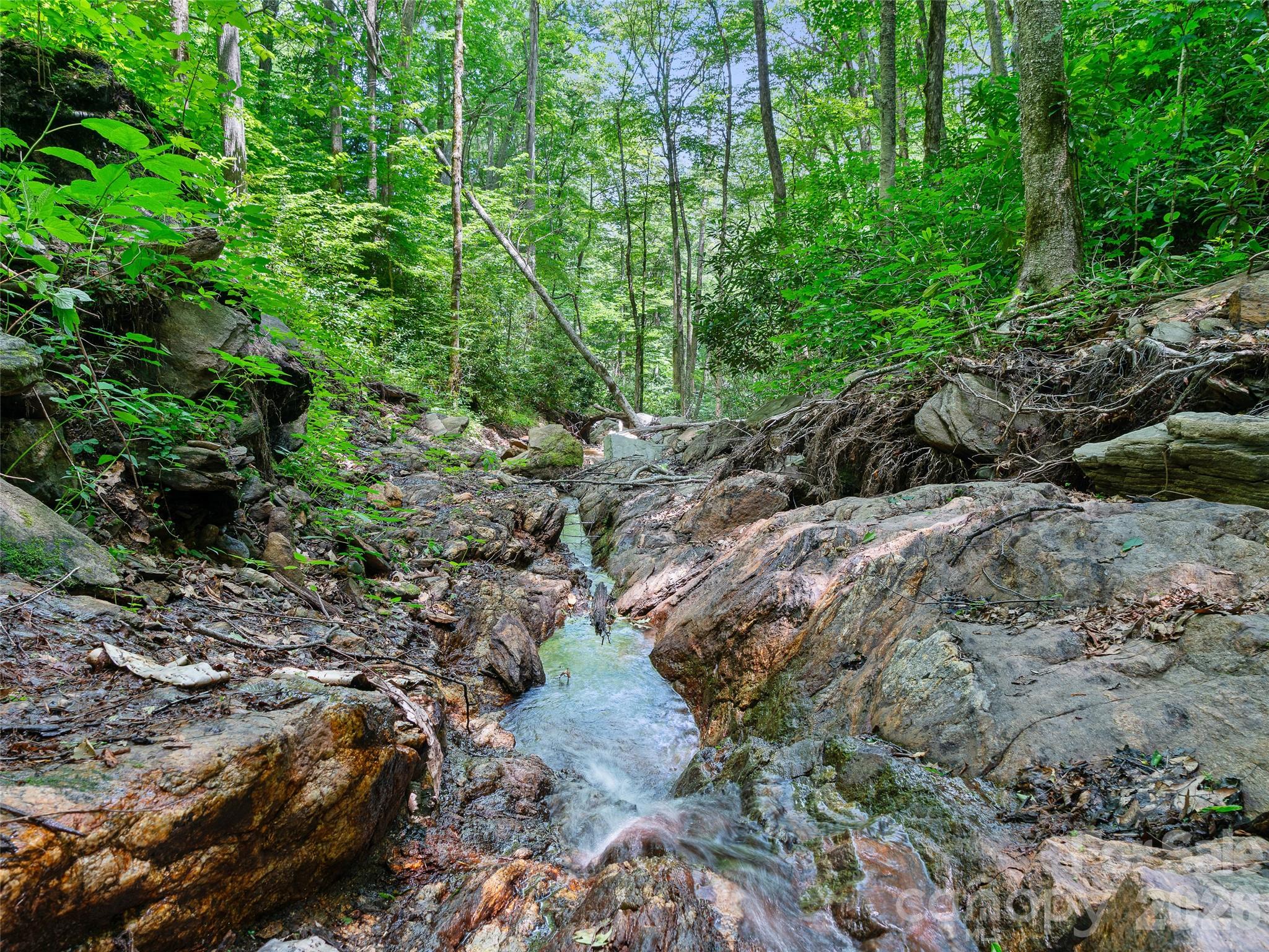 Cattail Creek - Land