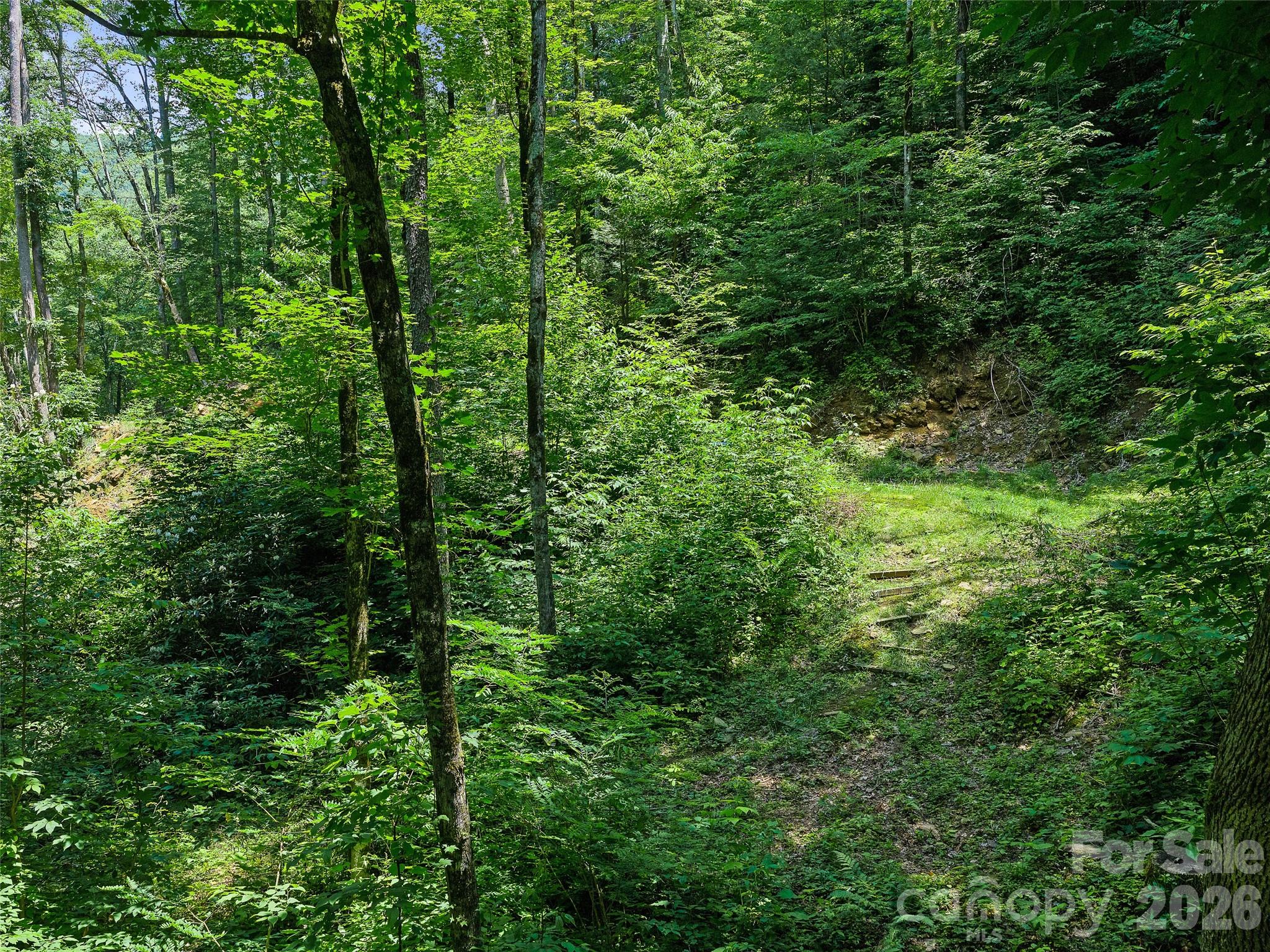 Cattail Creek - Land