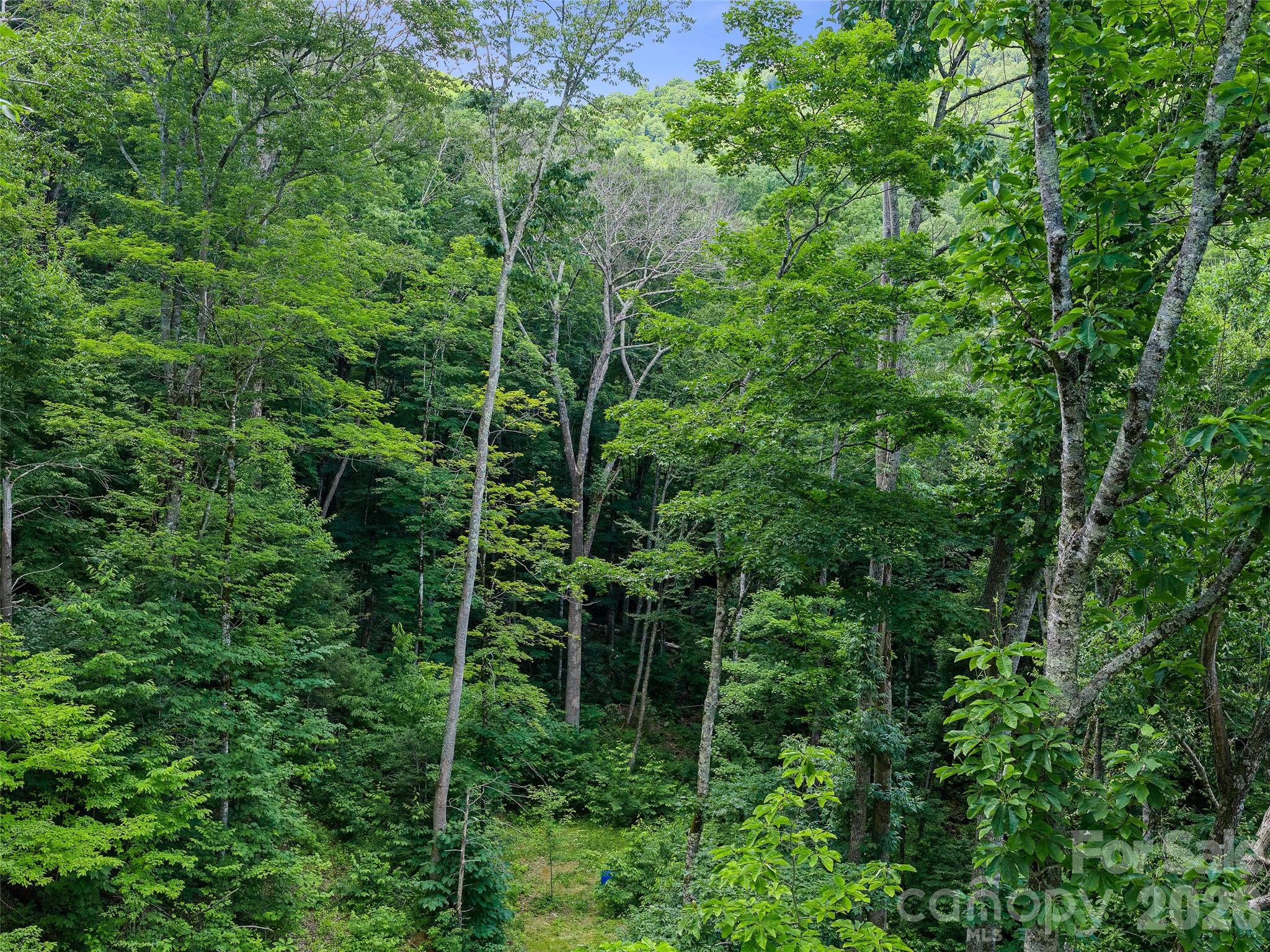 Cattail Creek - Land
