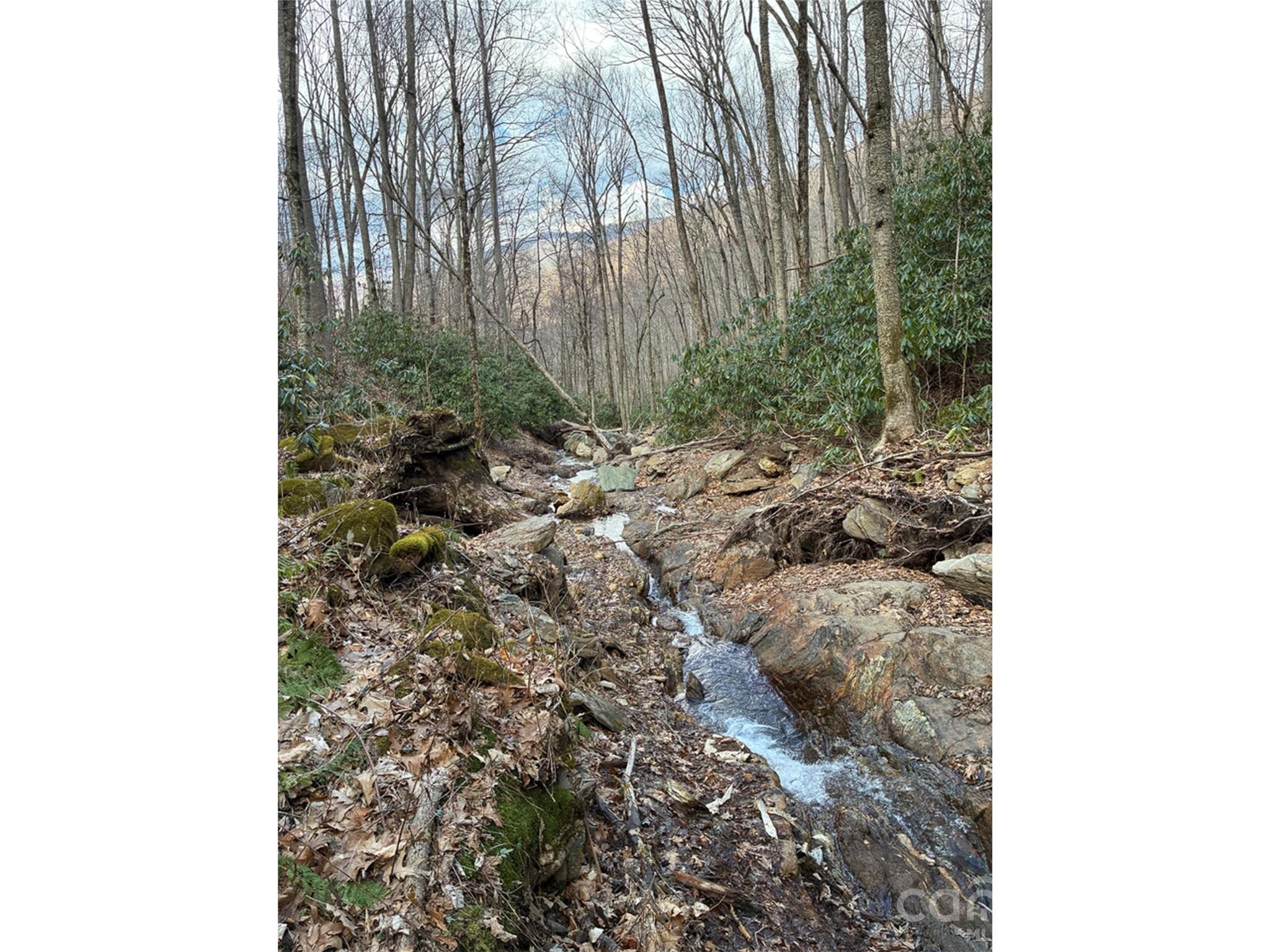 Cattail Creek - Land