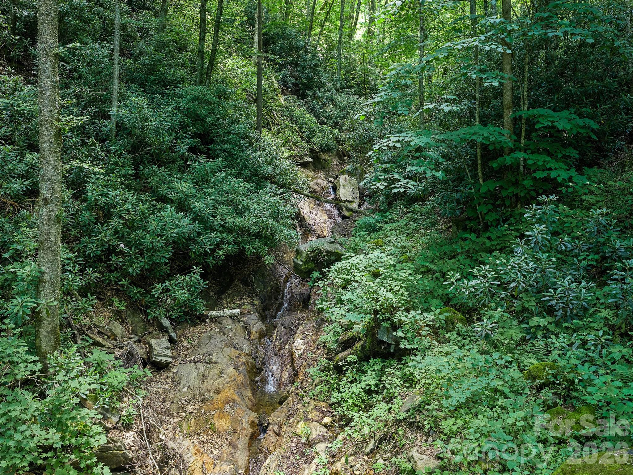 Cattail Creek - Land