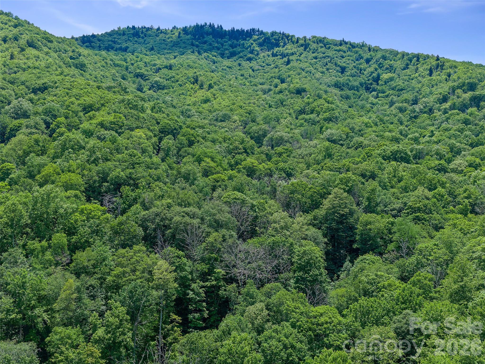 Cattail Creek - Land