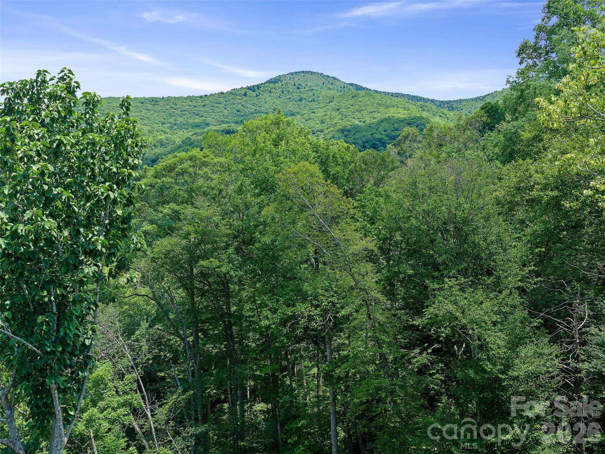 Cattail Creek - Land