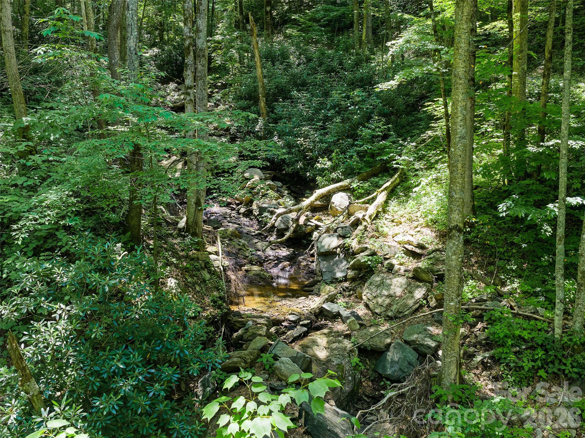 Cattail Creek - Land