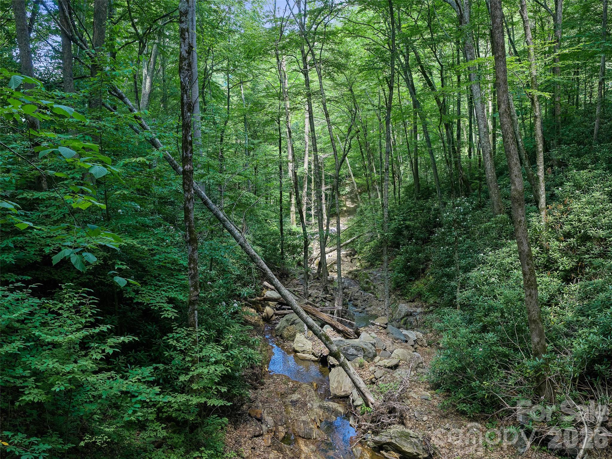 Cattail Creek - Land