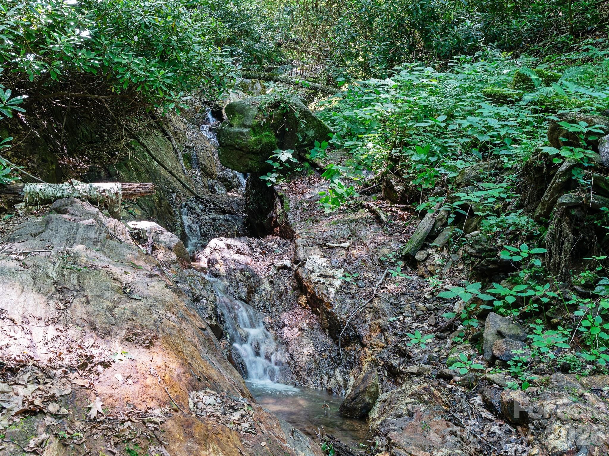 Cattail Creek - Land