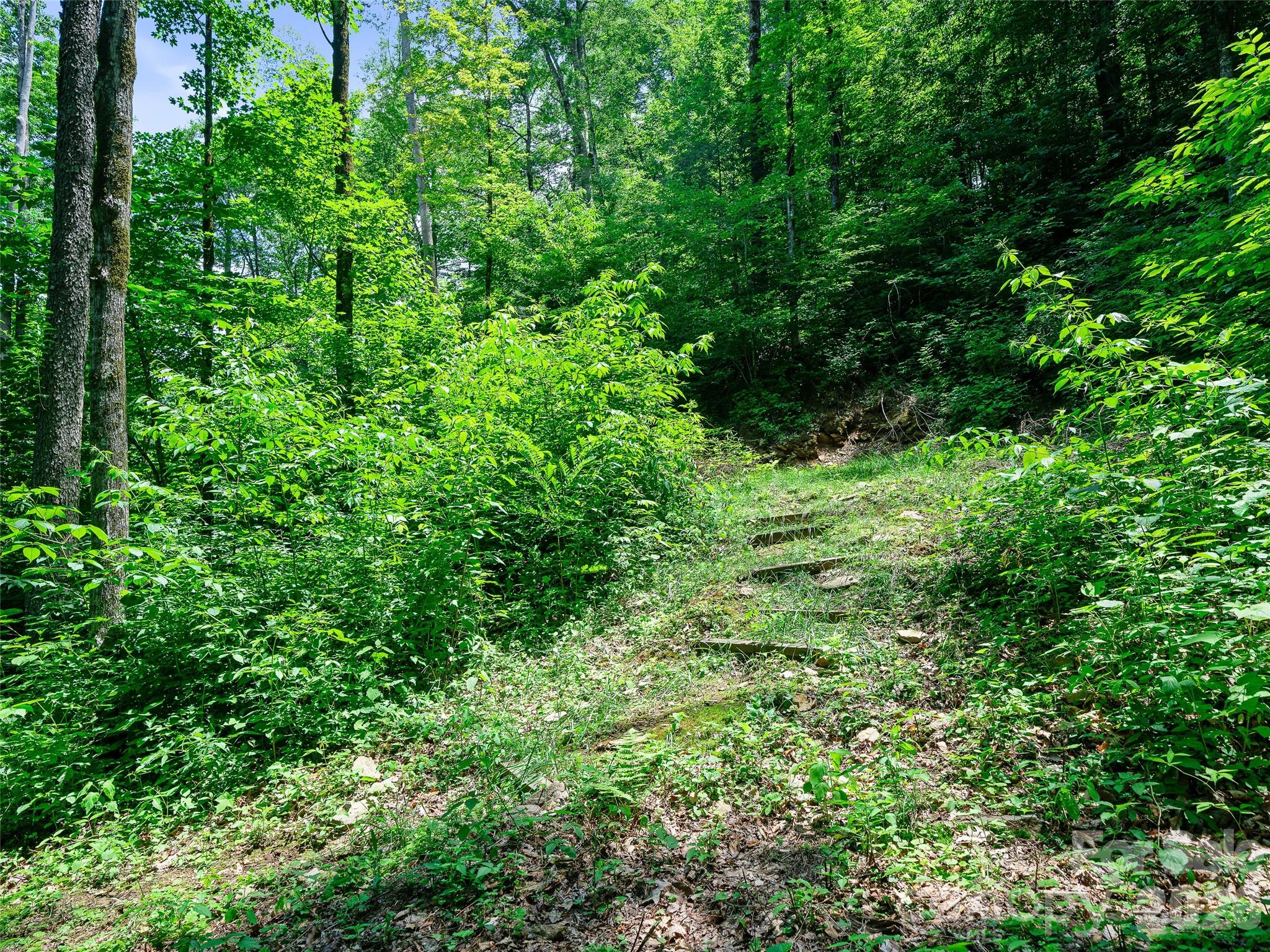 Cattail Creek - Land