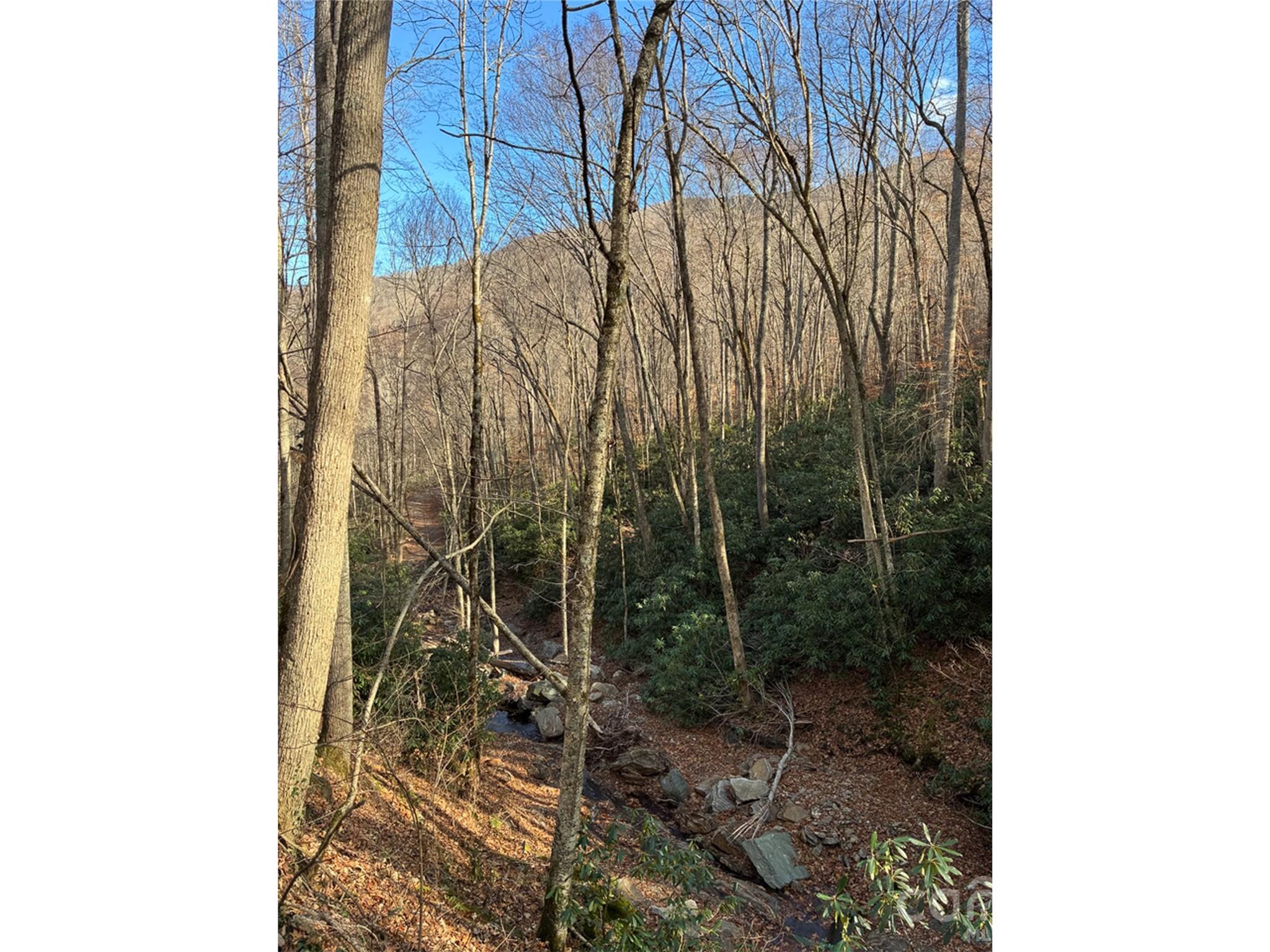 Cattail Creek - Land