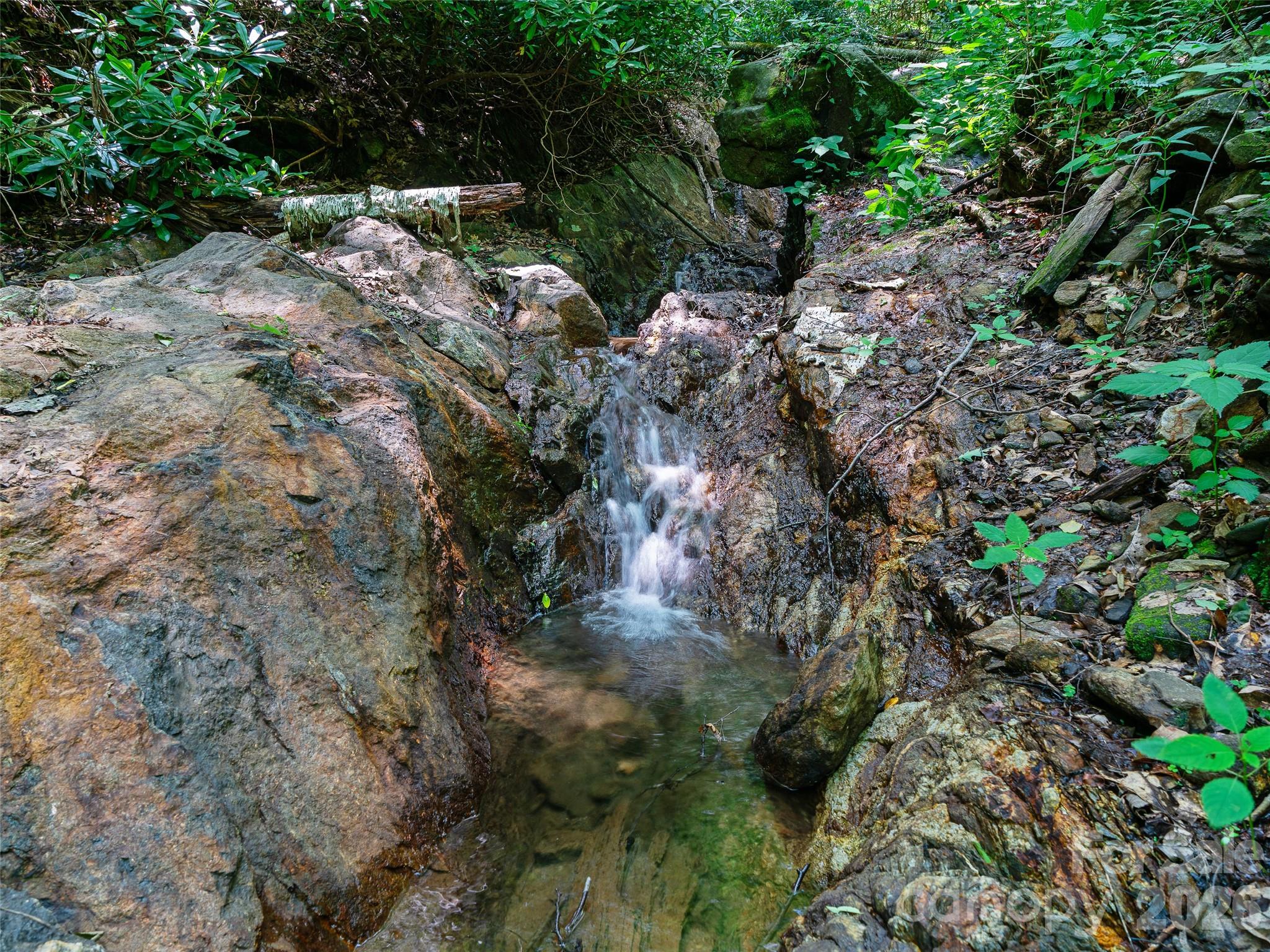 Cattail Creek - Land