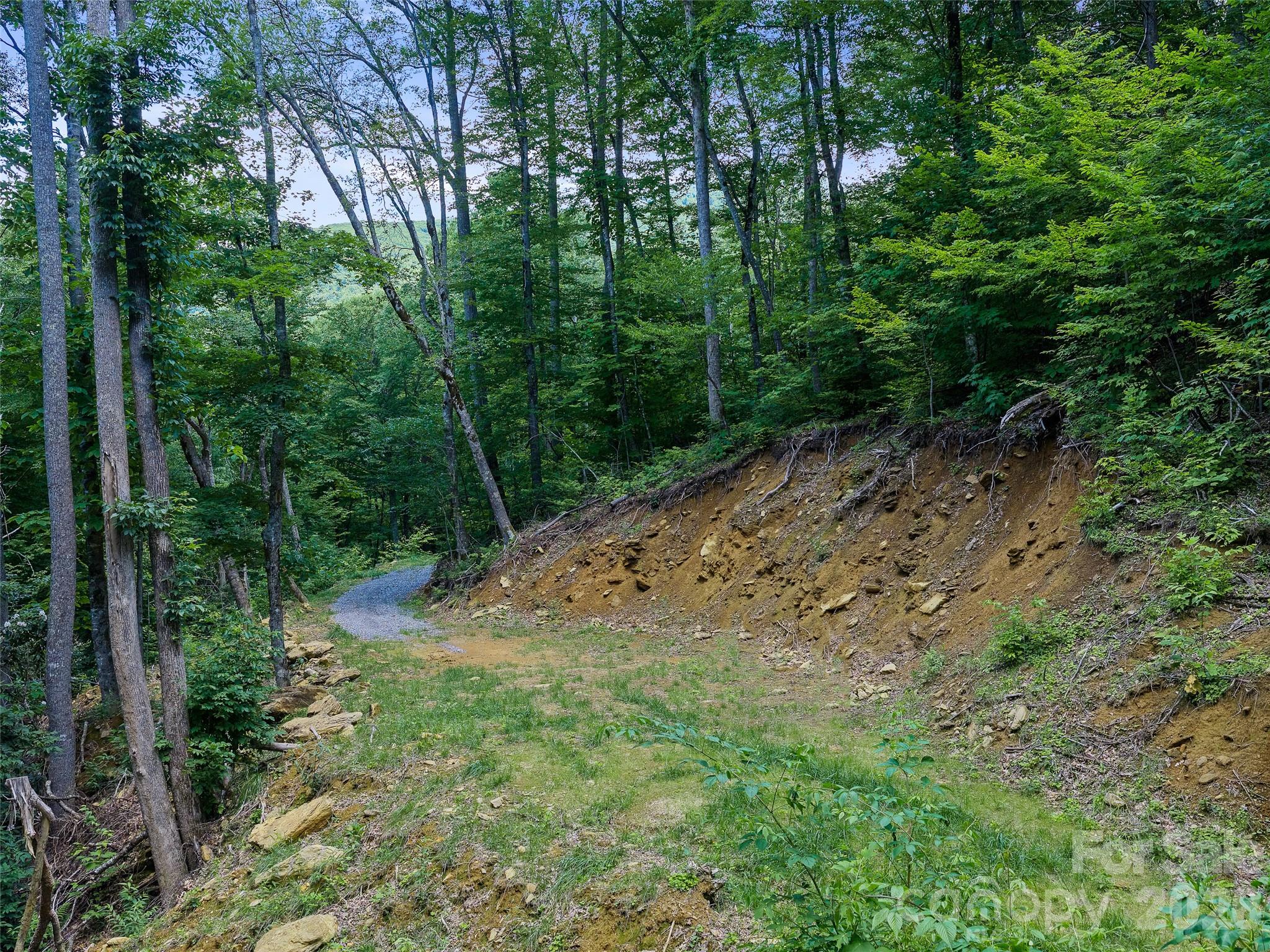 Cattail Creek - Land