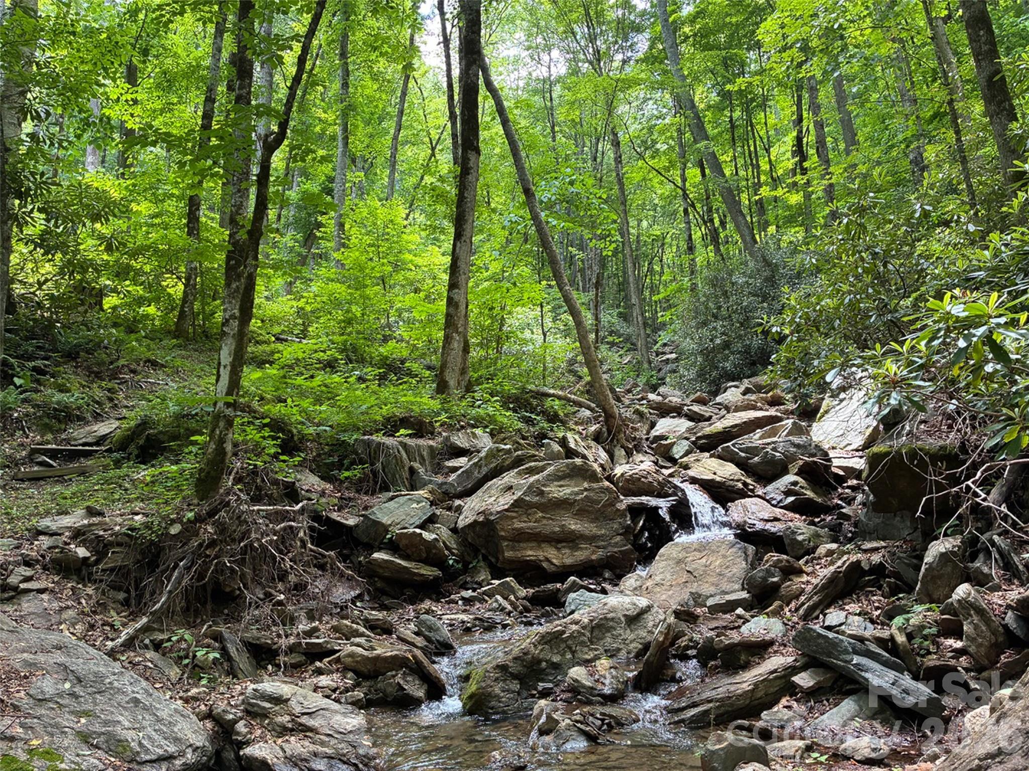 Cattail Creek - Land