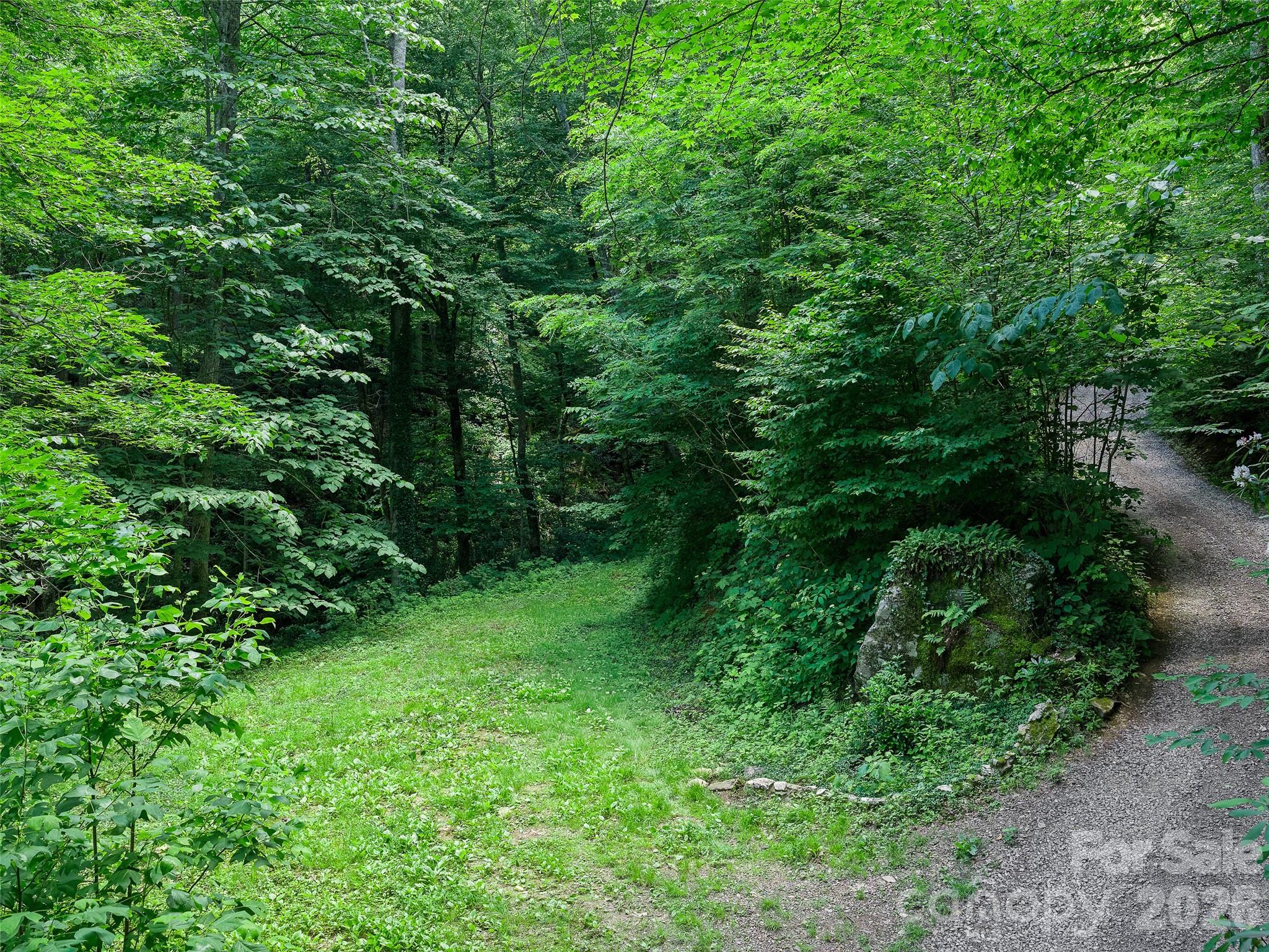 Cattail Creek - Land