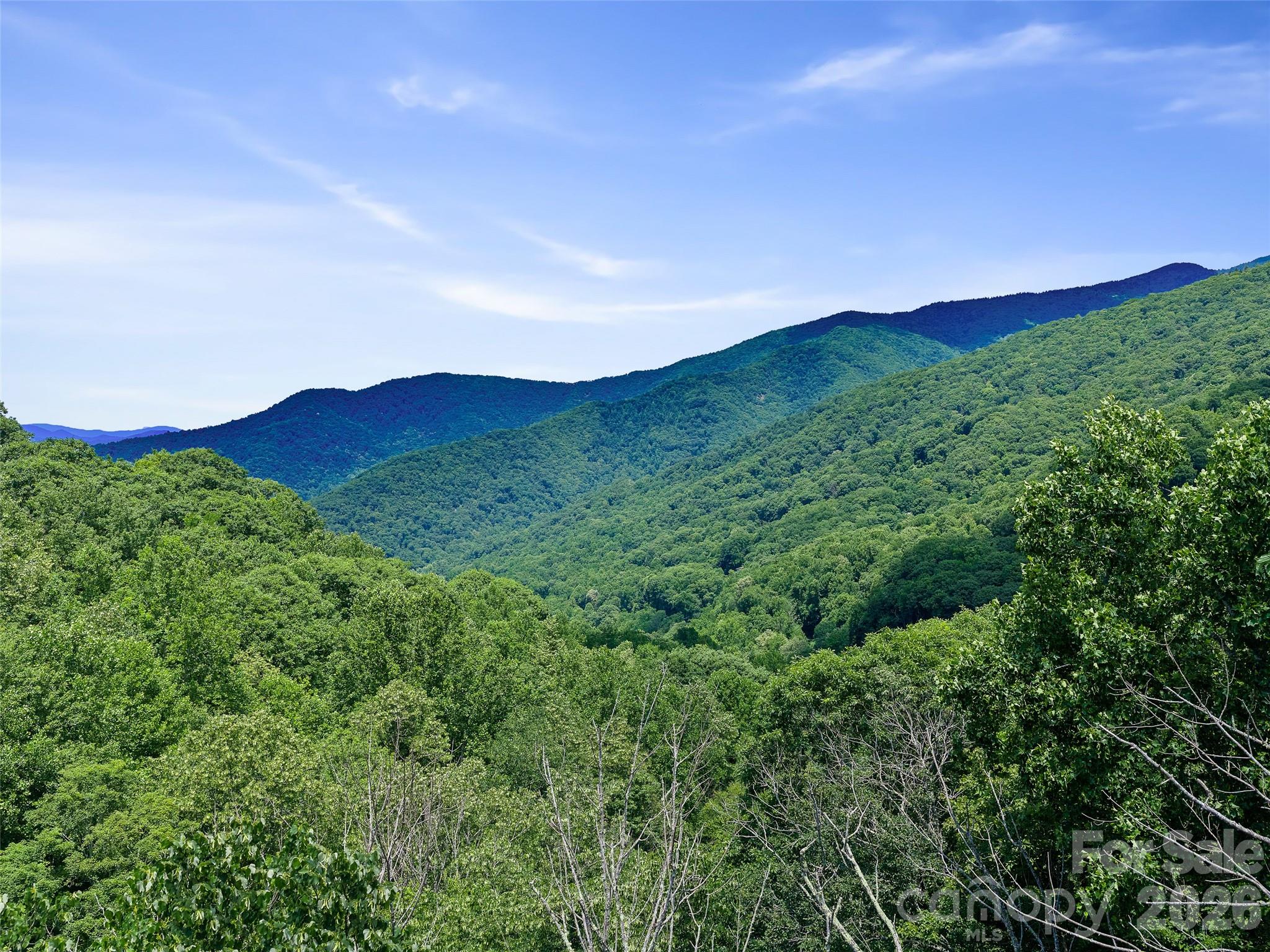 Cattail Creek - Land