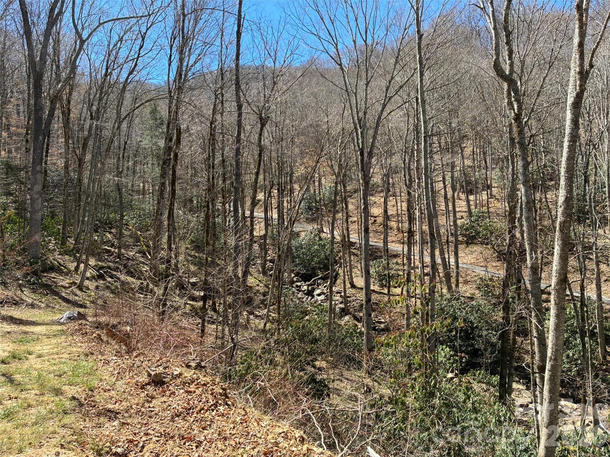 Cattail Creek - Land