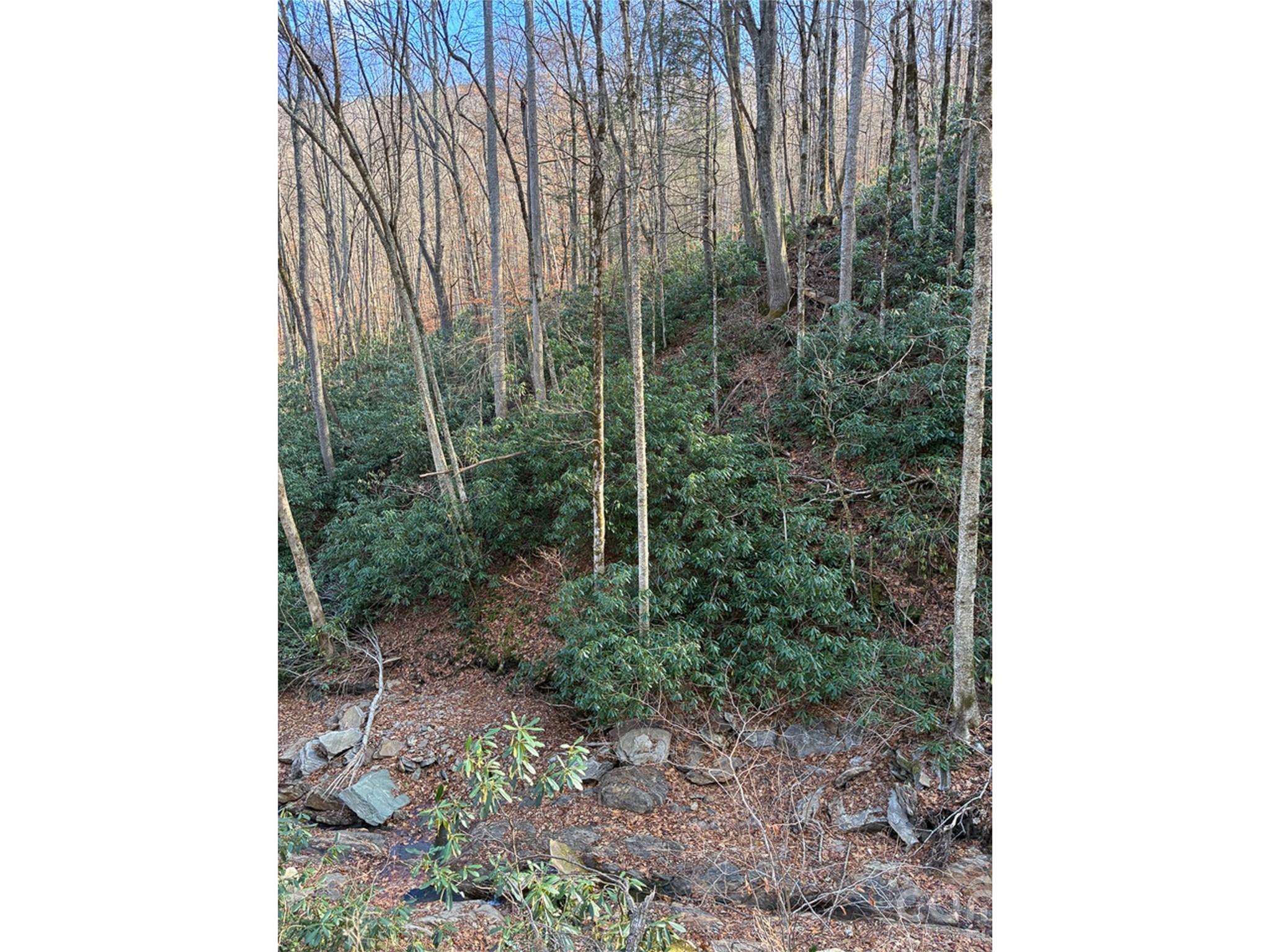 Cattail Creek - Land