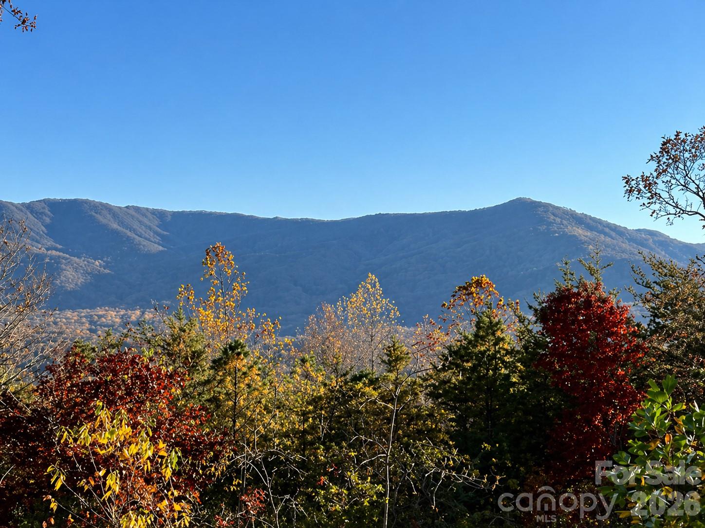 Allen Mountain Ridge - Residential
