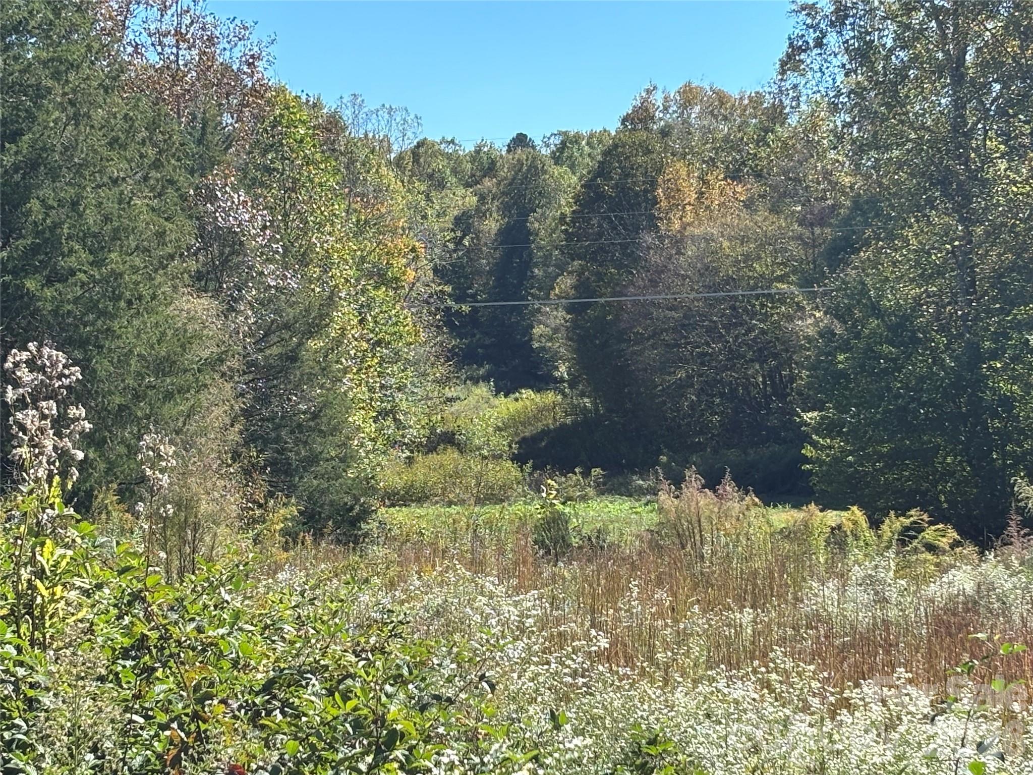 Shepherds Bluff - Land