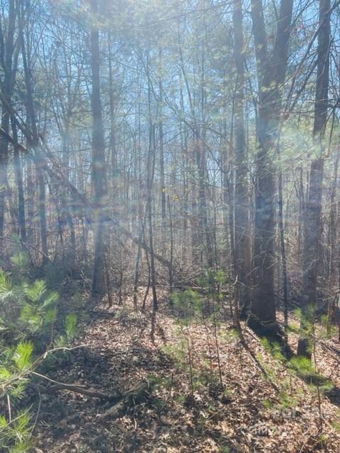 Come check out this 1/2acre lot close to lakes if you like boating or fishing. Lot is sloping with lots of trees for privacy.