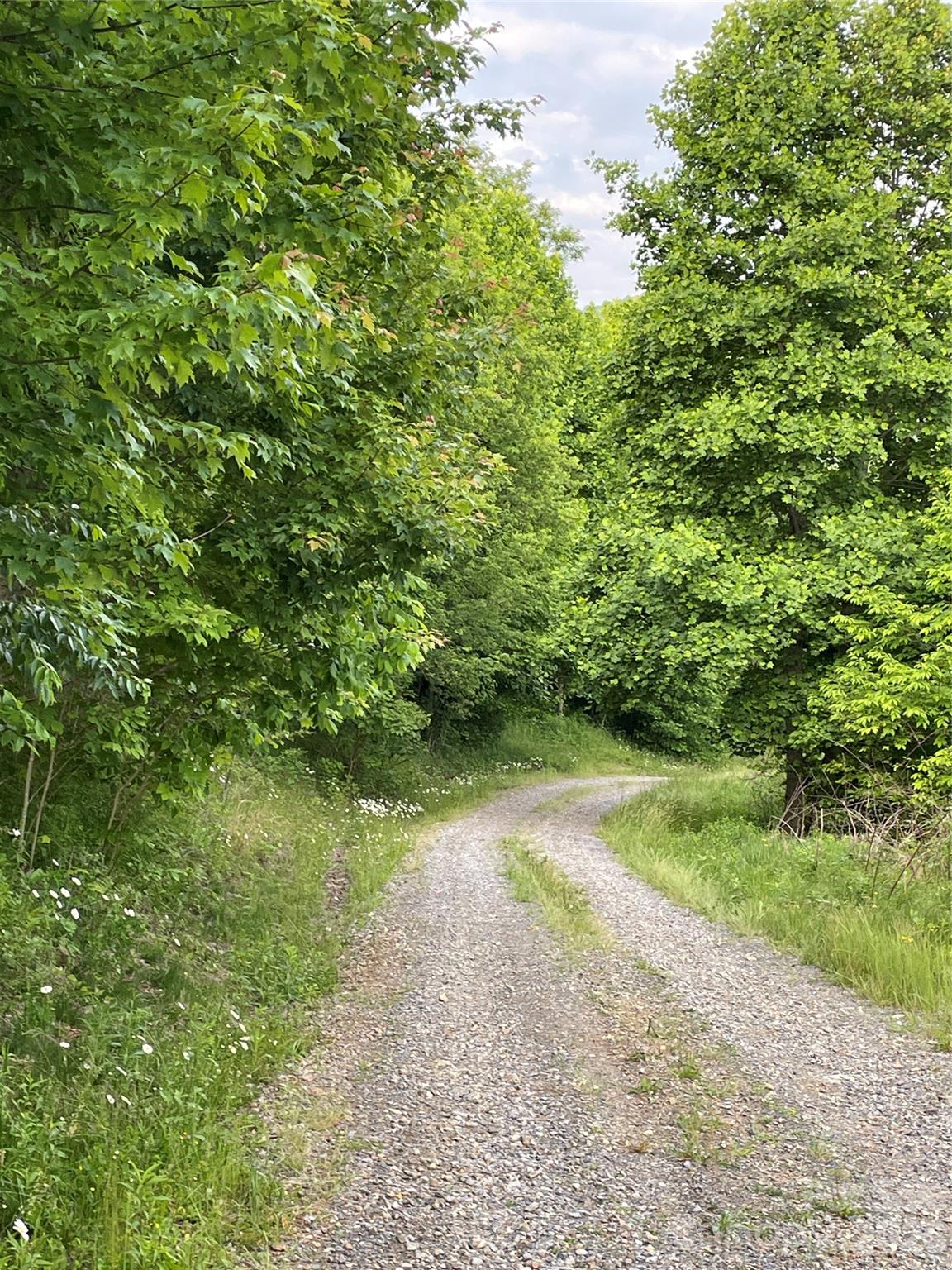 Turkey Trot Farms - Land