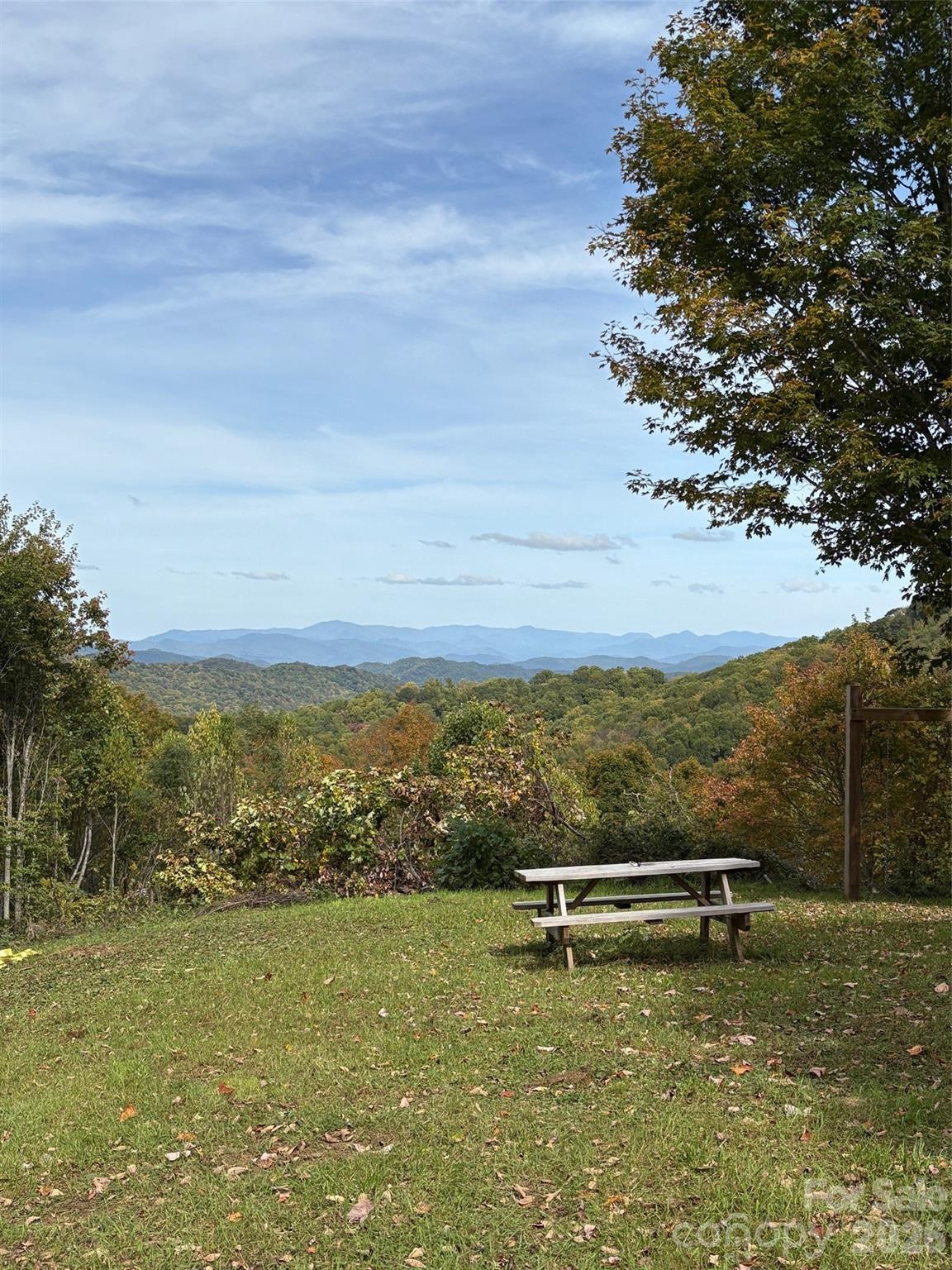 Watch stunning sunrises & sunsets without leaving home. Want to work remotely? Charter Spectrum Fiber Optic High Speed Internet is available in this community! Easy to walk, rolling land with multiple building spots. Take a short walk to the top of this property for panoramic mountain views. Magnificent mountain views in almost every direction with tree removal. You truly can get gorgeous views without a harrowing drive up the steep side of a mountain. Build your home on the gentle, rolling meadow on the upper slope of the property.  Property backs up to Max Patch Rd & the National Forest. Miles of roads, horse trails & hiking trails. Bring your horses, they are allowed in this community. You can ride all day from your own horse pasture. Hiking, horseback riding & mountain biking are all big activities in this area. Fully enjoy all of the benefits of living in western North Carolina while still being within an easy drive to town! Come spend some time walking this land and become familiar with just how special this property truly is. Only 6.7 miles to Max Patch! The Appalachian Trail runs right across the top of Max Patch! This area was filmed in the movie, A Walk in the Woods, with Robert Redford. 30 Minutes to Food Lion in Clyde or 36 minutes to Ingles Grocery in Canton. 37 Minutes to heart of Waynesville