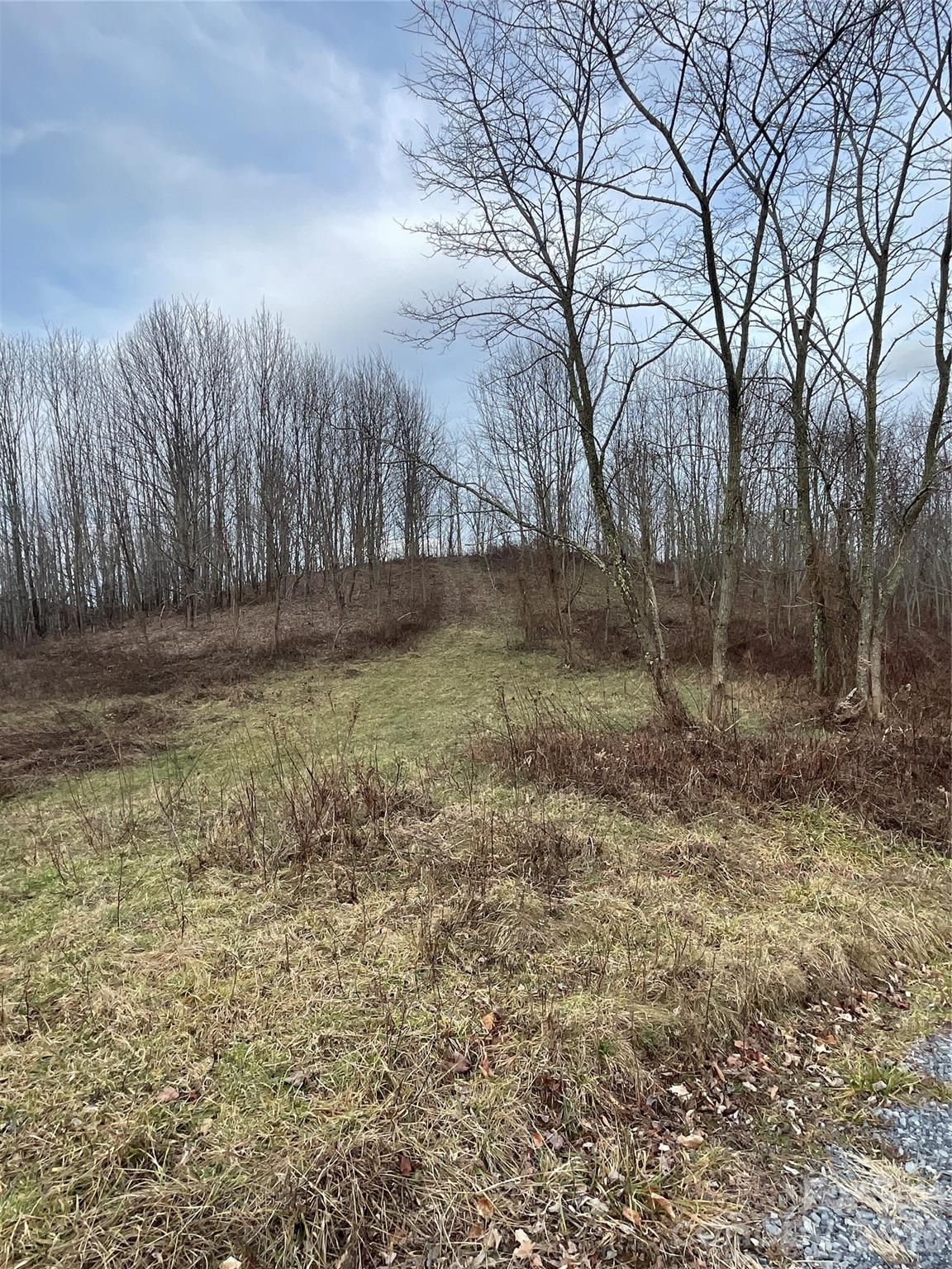 Turkey Trot Farms - Land