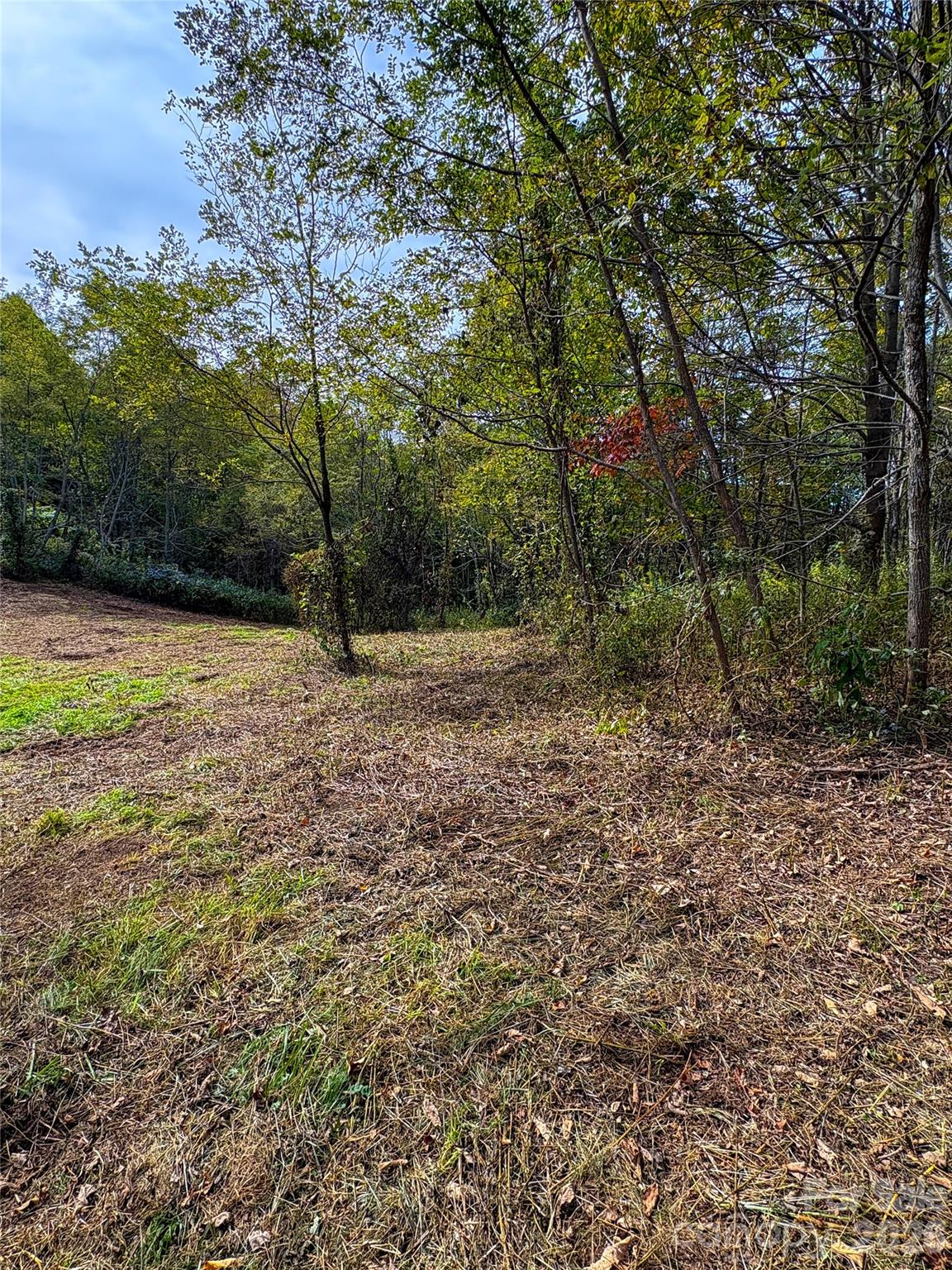 Turkey Trot Farms - Land