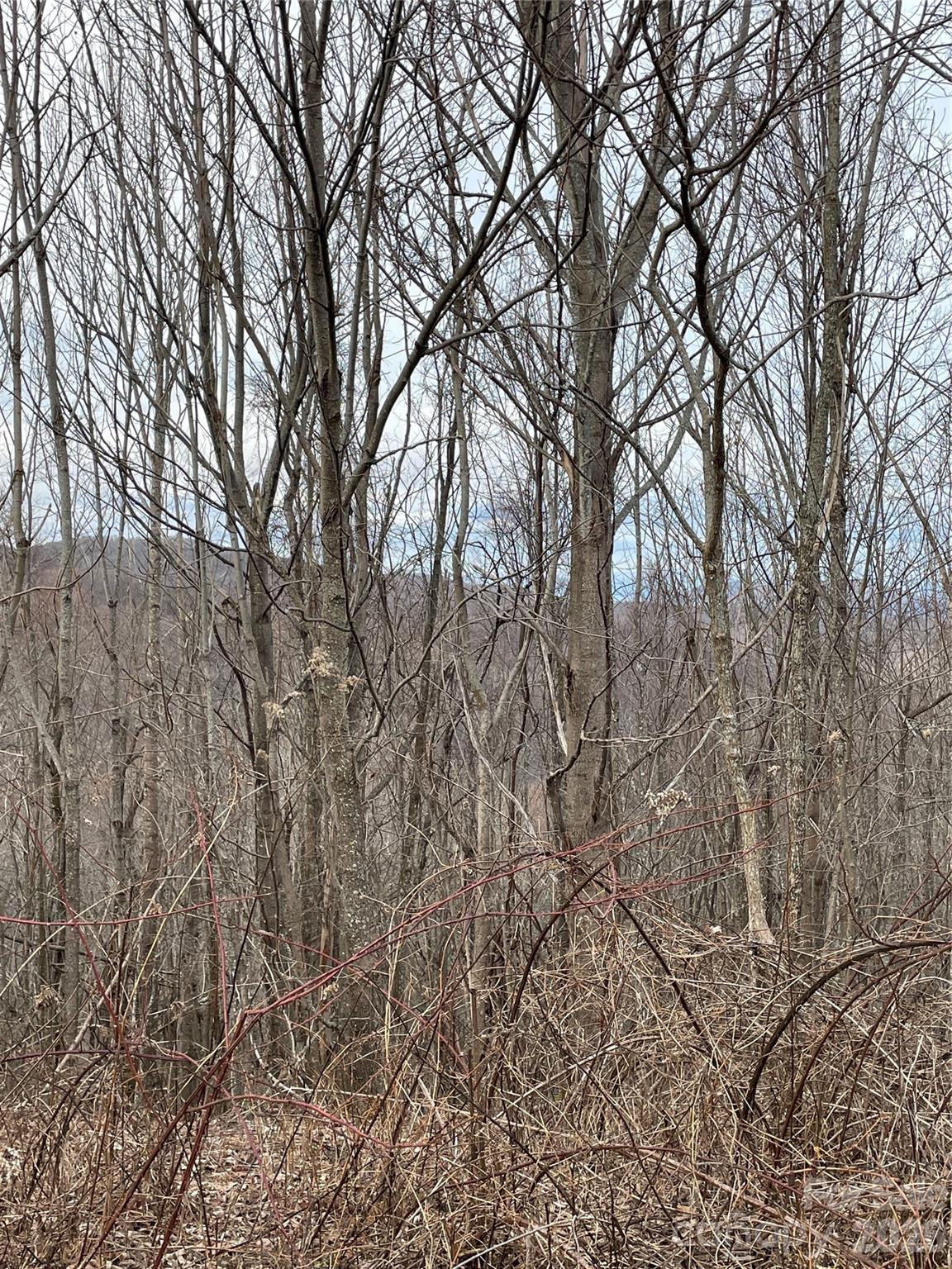 Turkey Trot Farms - Land