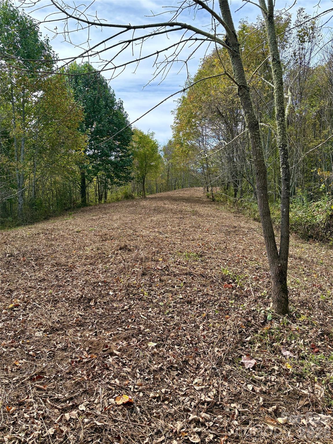 Turkey Trot Farms - Land