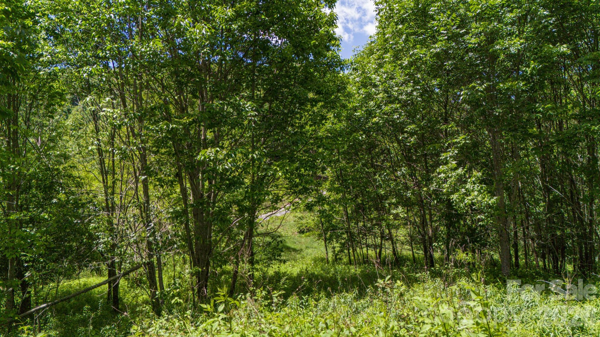 Turkey Trot Farms - Land