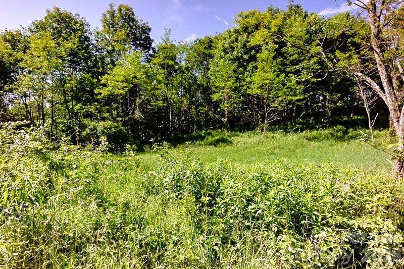 Turkey Trot Farms - Land