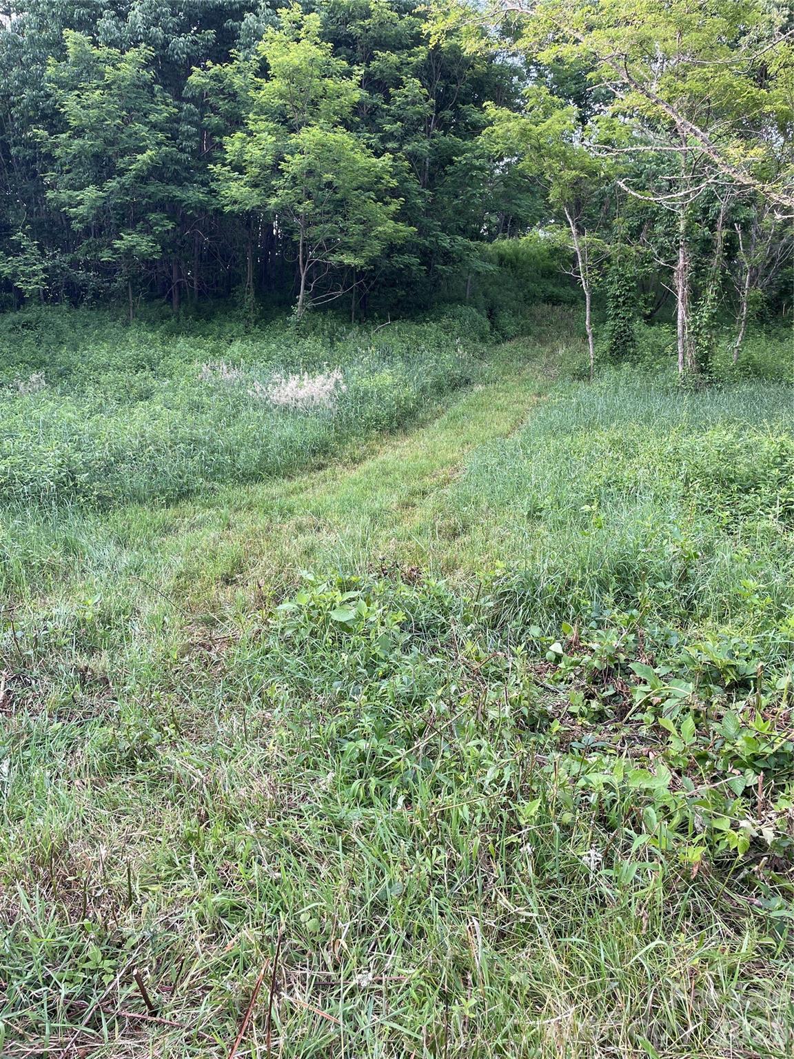 Turkey Trot Farms - Land